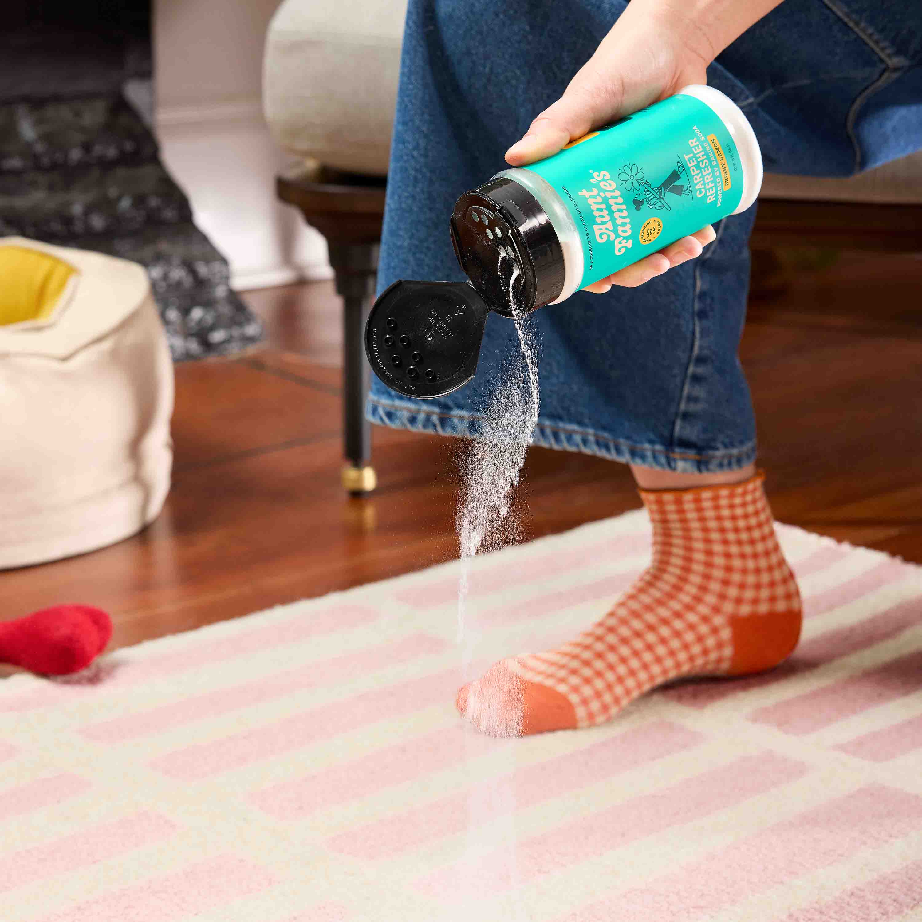 Carpet Refresher - Image 7