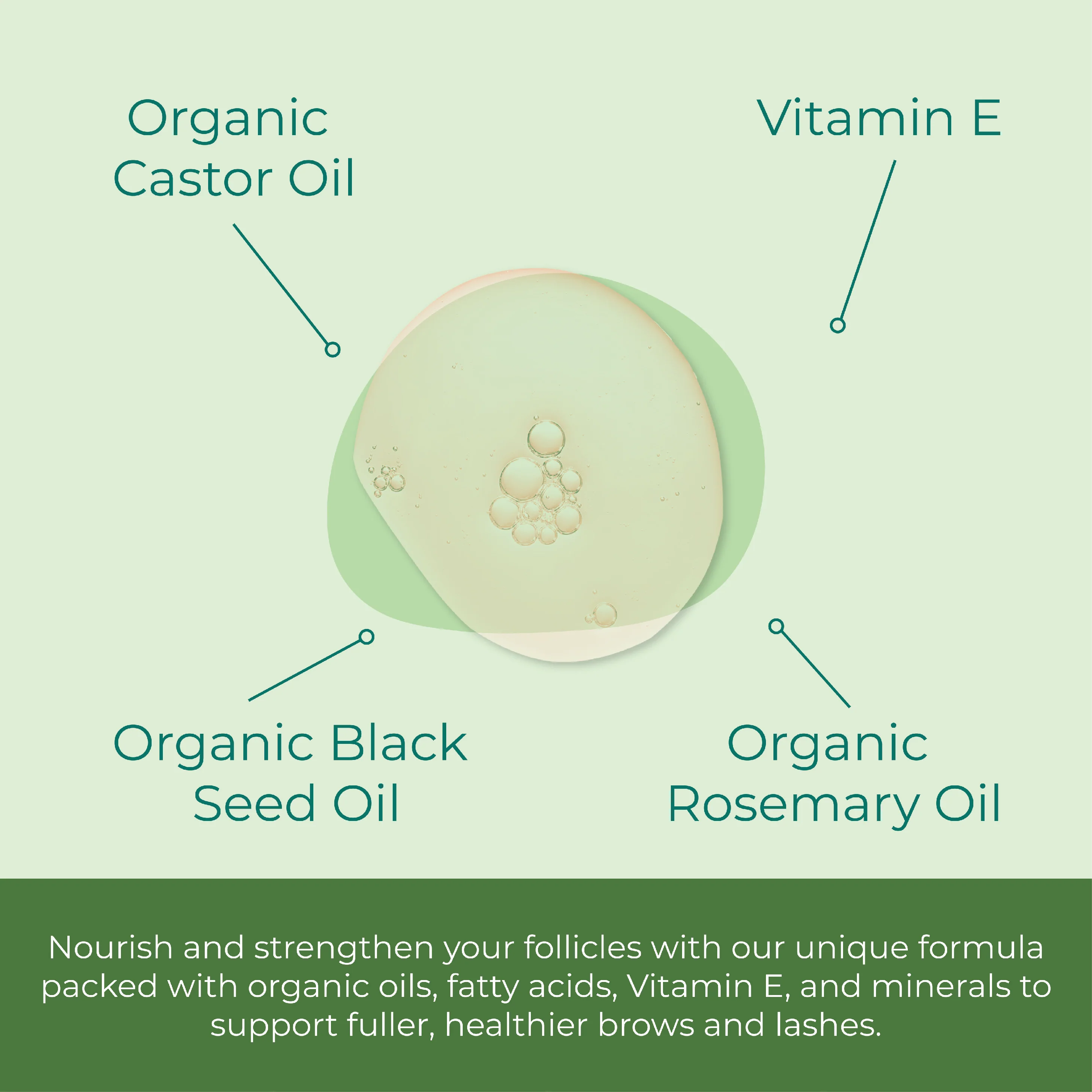 Castor Lash & Brow Serum - Image 2