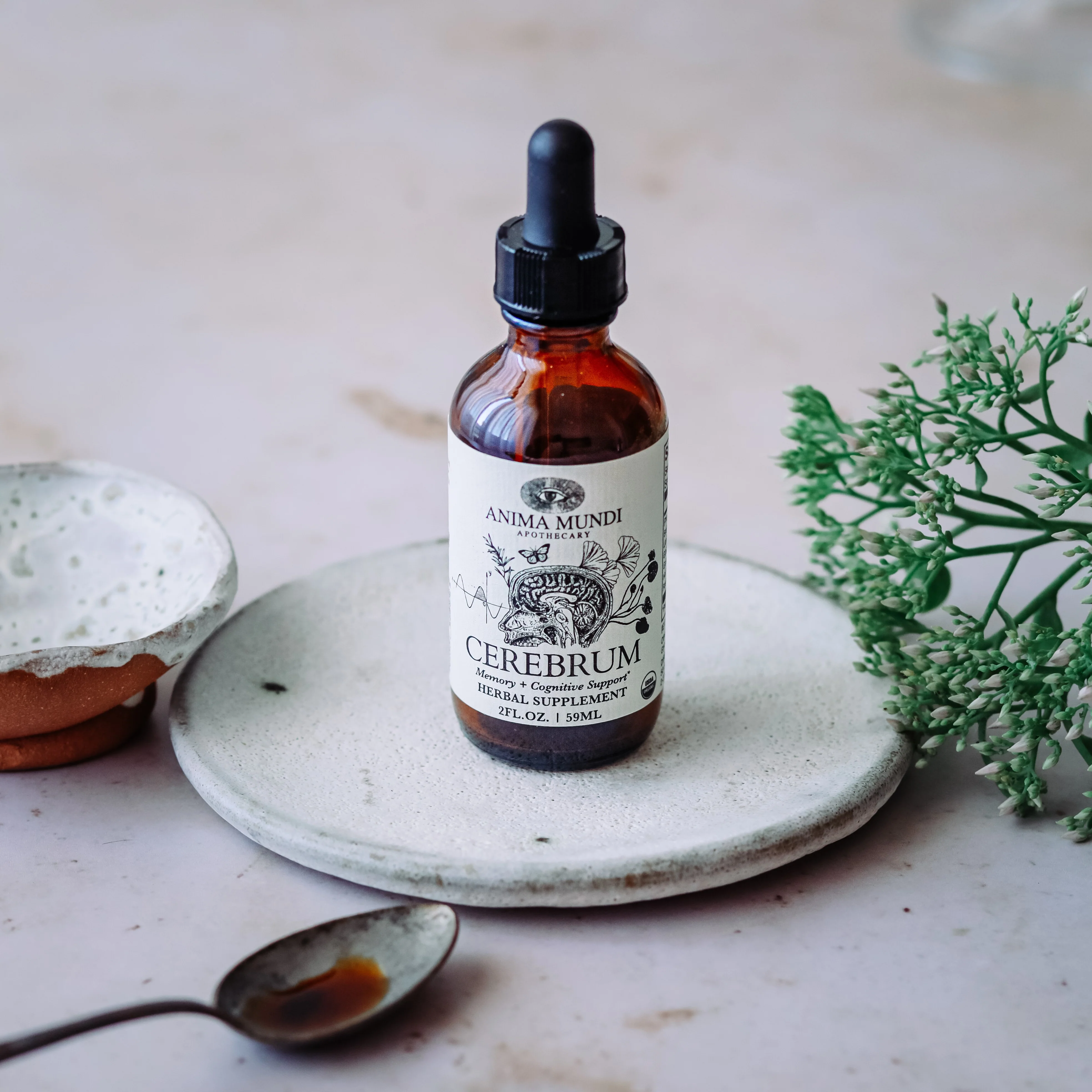 CEREBRUM Tonic, Memory + Energy - Image 4