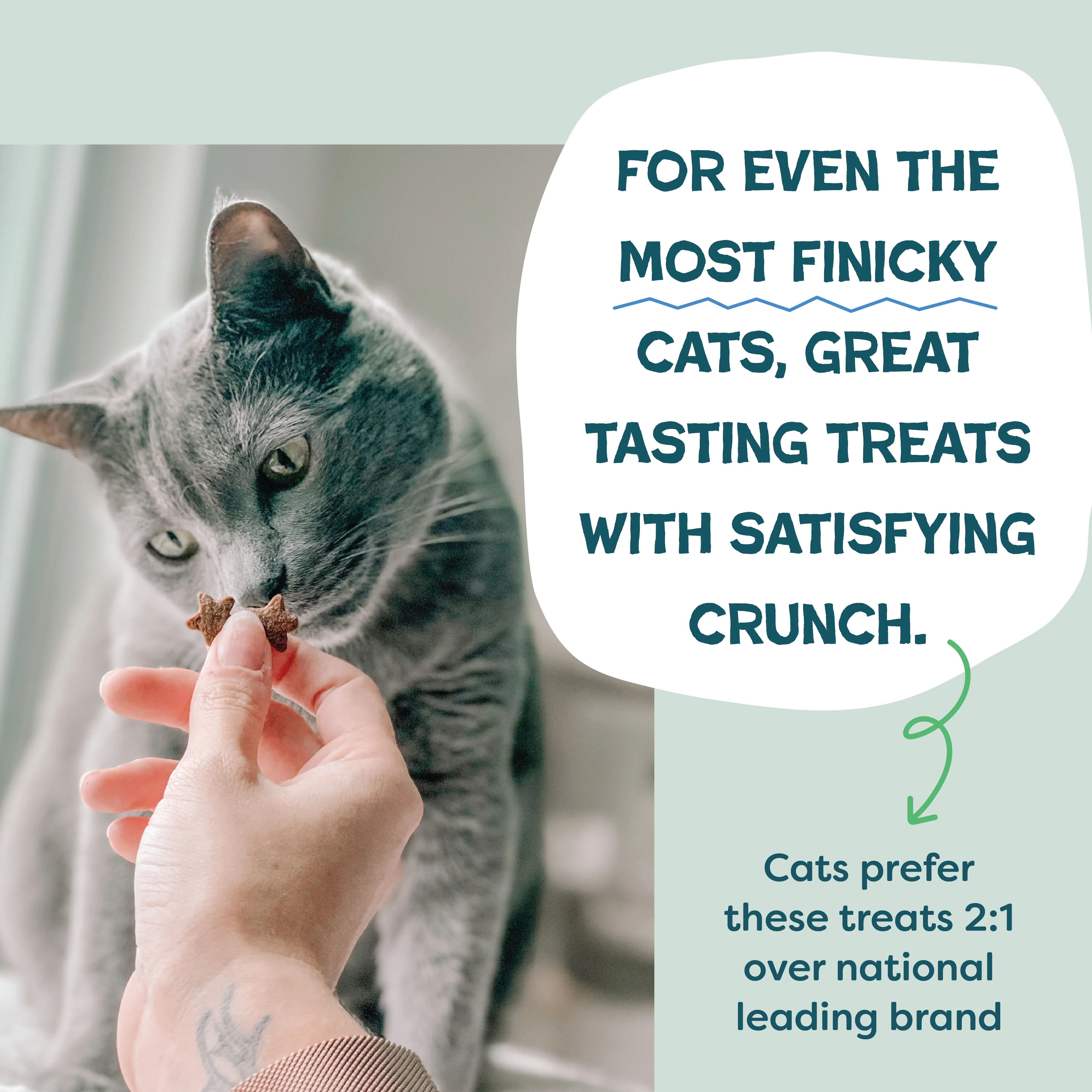 Catnip N Chill Crunchy Cat Treats - Image 5