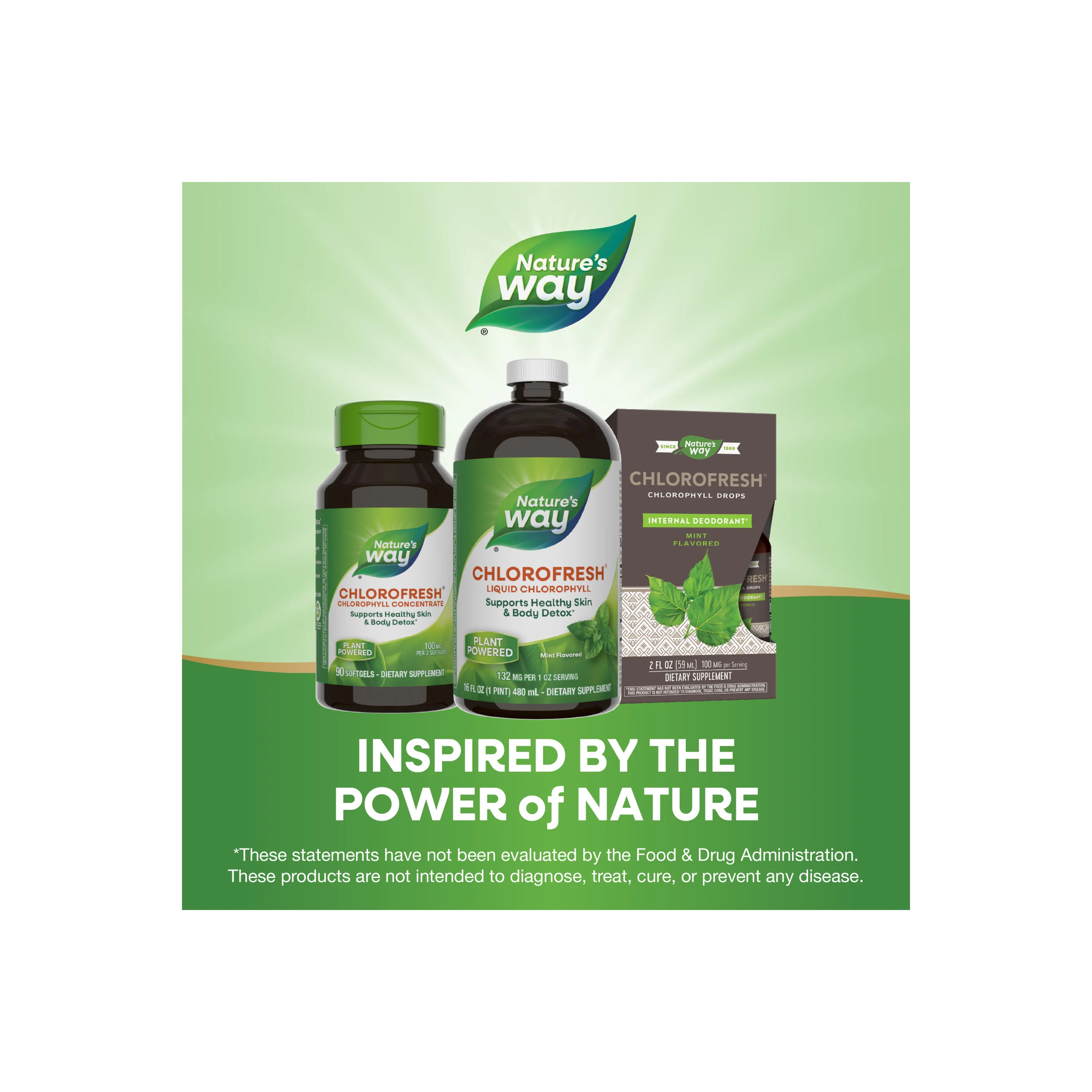 Chlorofresh® Liquid Chlorophyll - Image 12