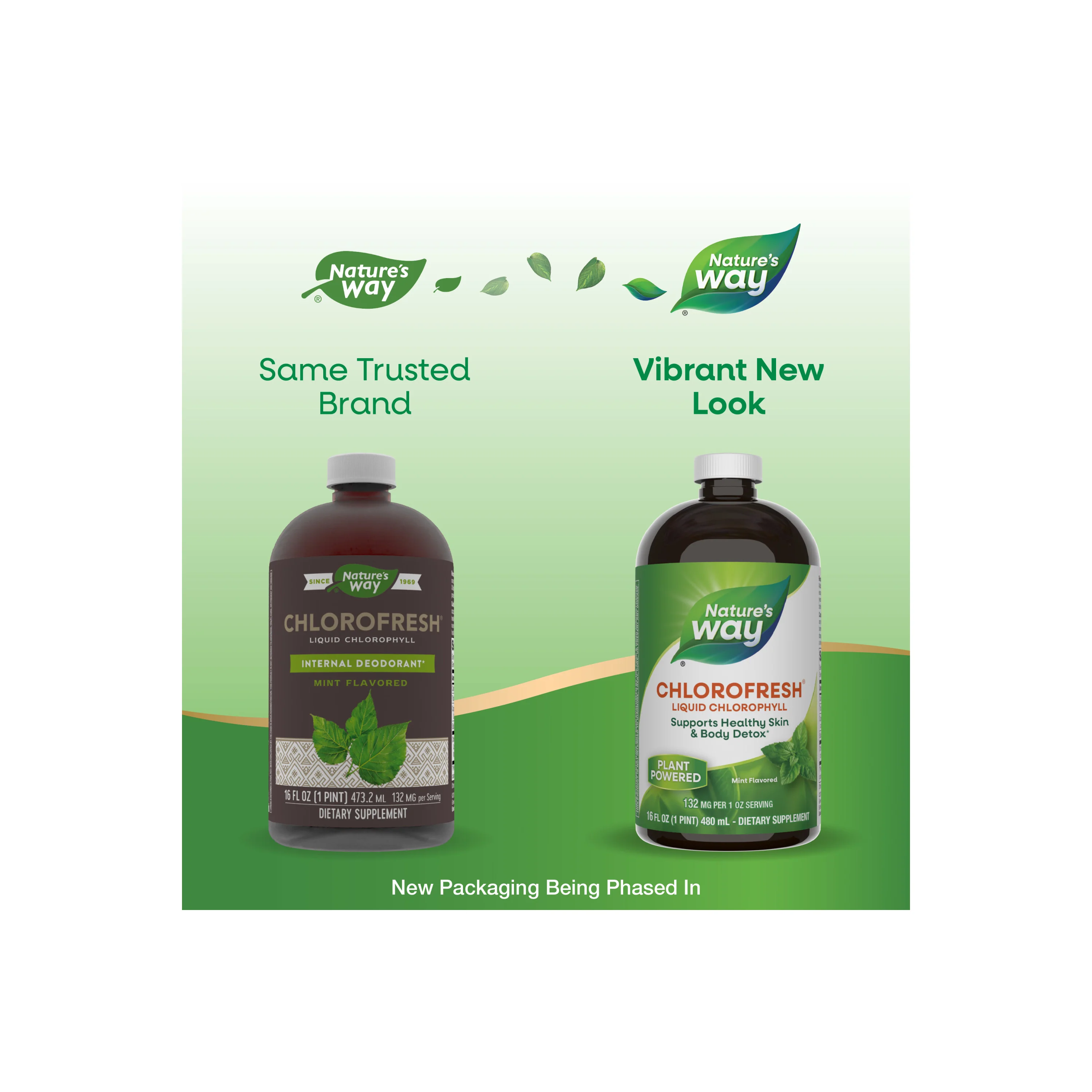 Chlorofresh® Liquid Chlorophyll - Image 17