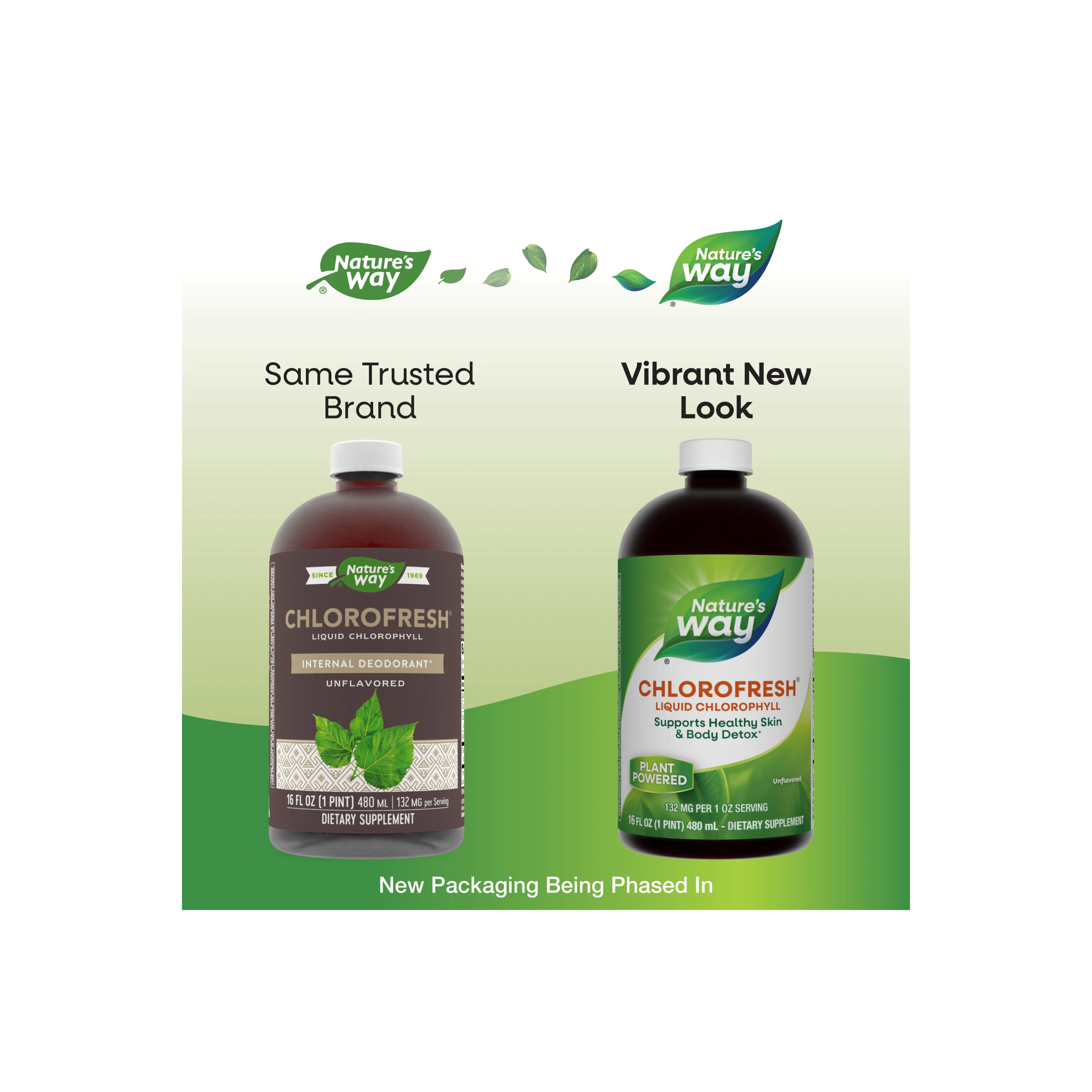 Chlorofresh® Liquid Chlorophyll - Image 6