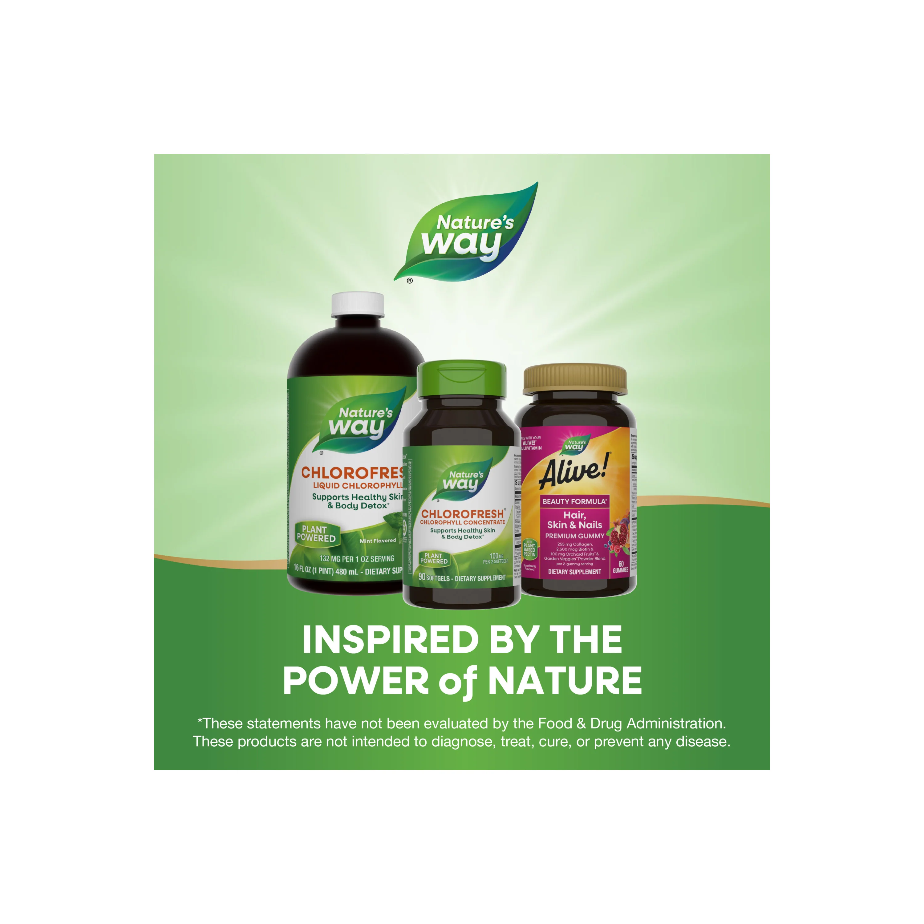 Chlorofresh® Chlorophyll Concentrate - Image 12