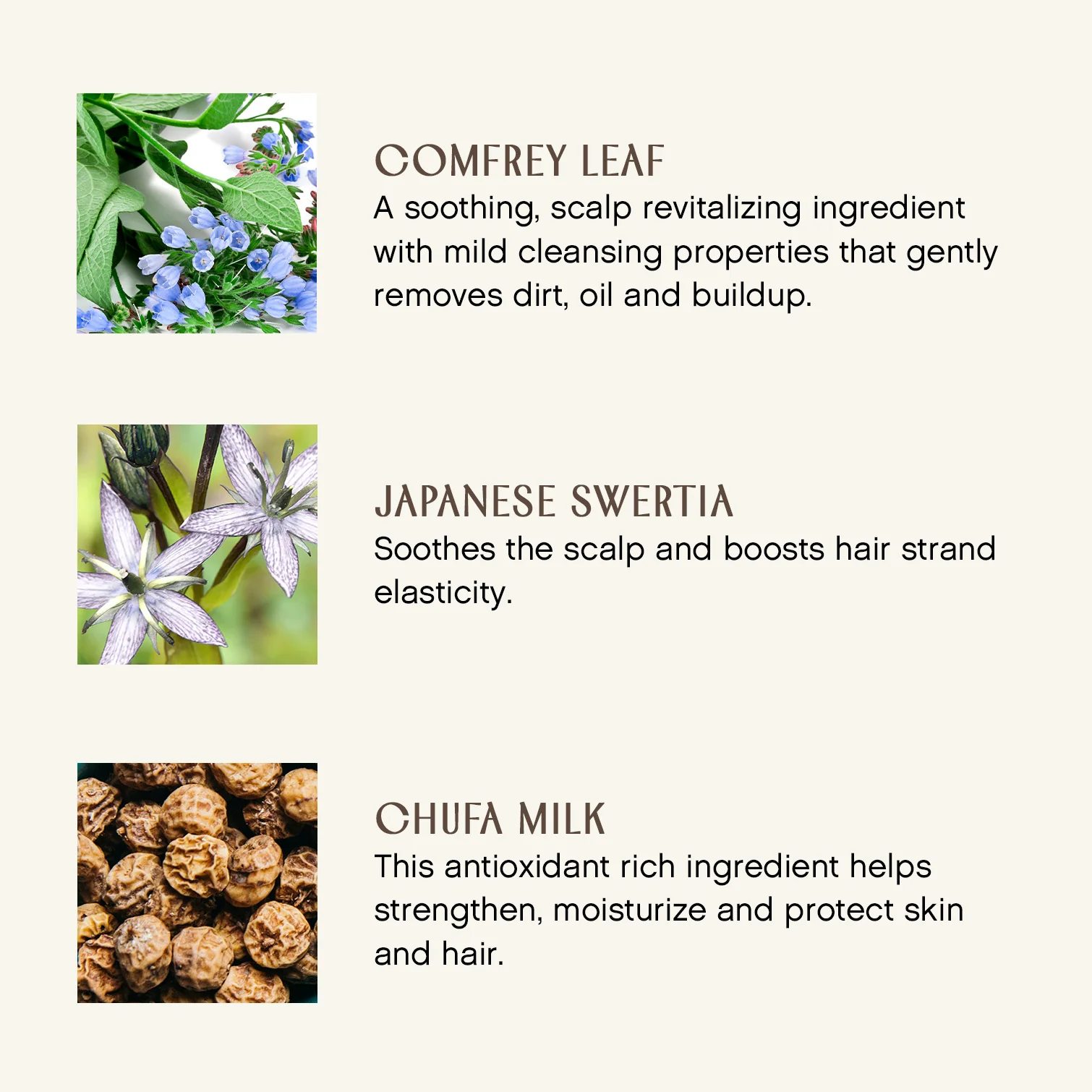 Clarity Hairbath - Image 3