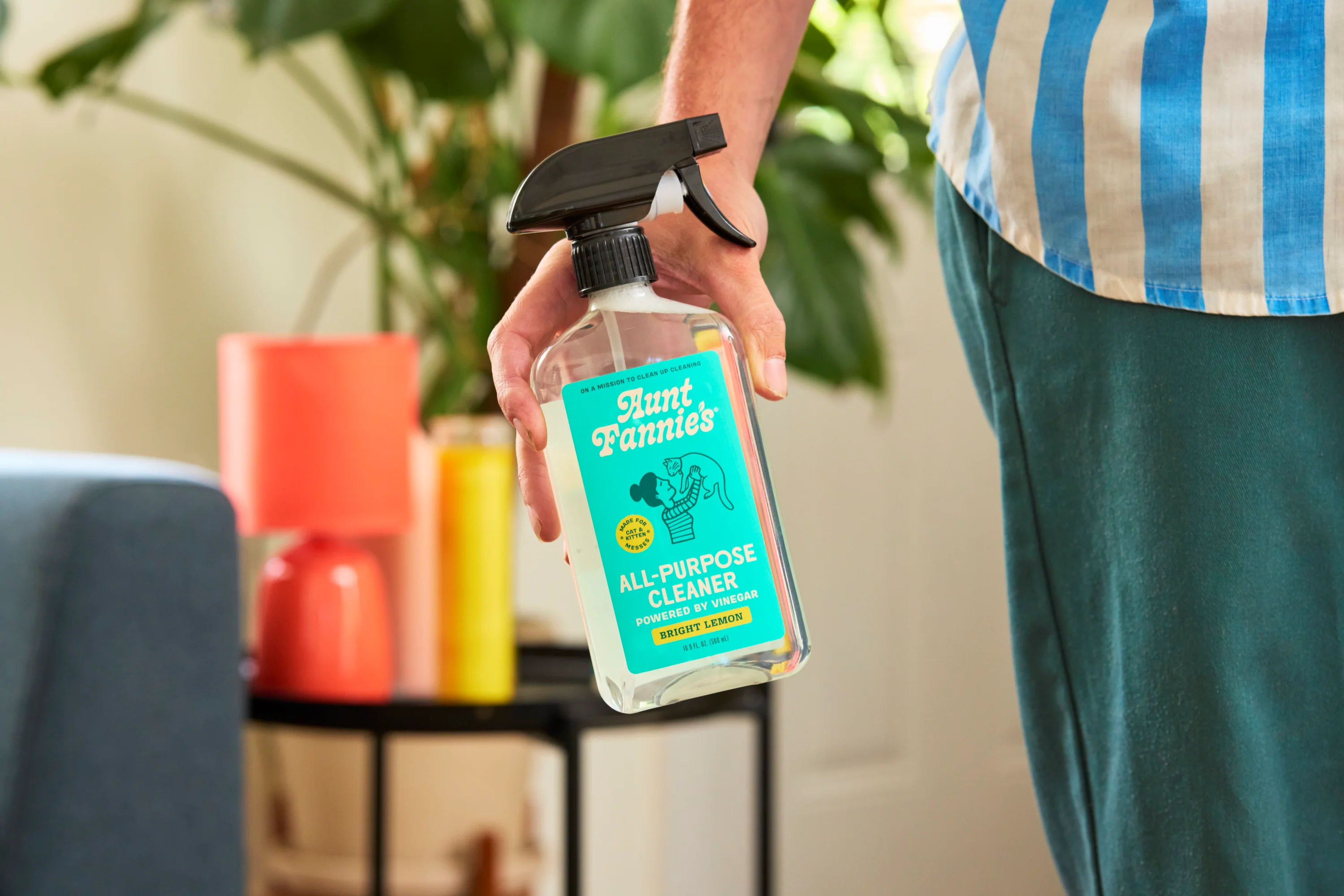 Cleaning Vinegar Spray for Cat Homes - Image 3