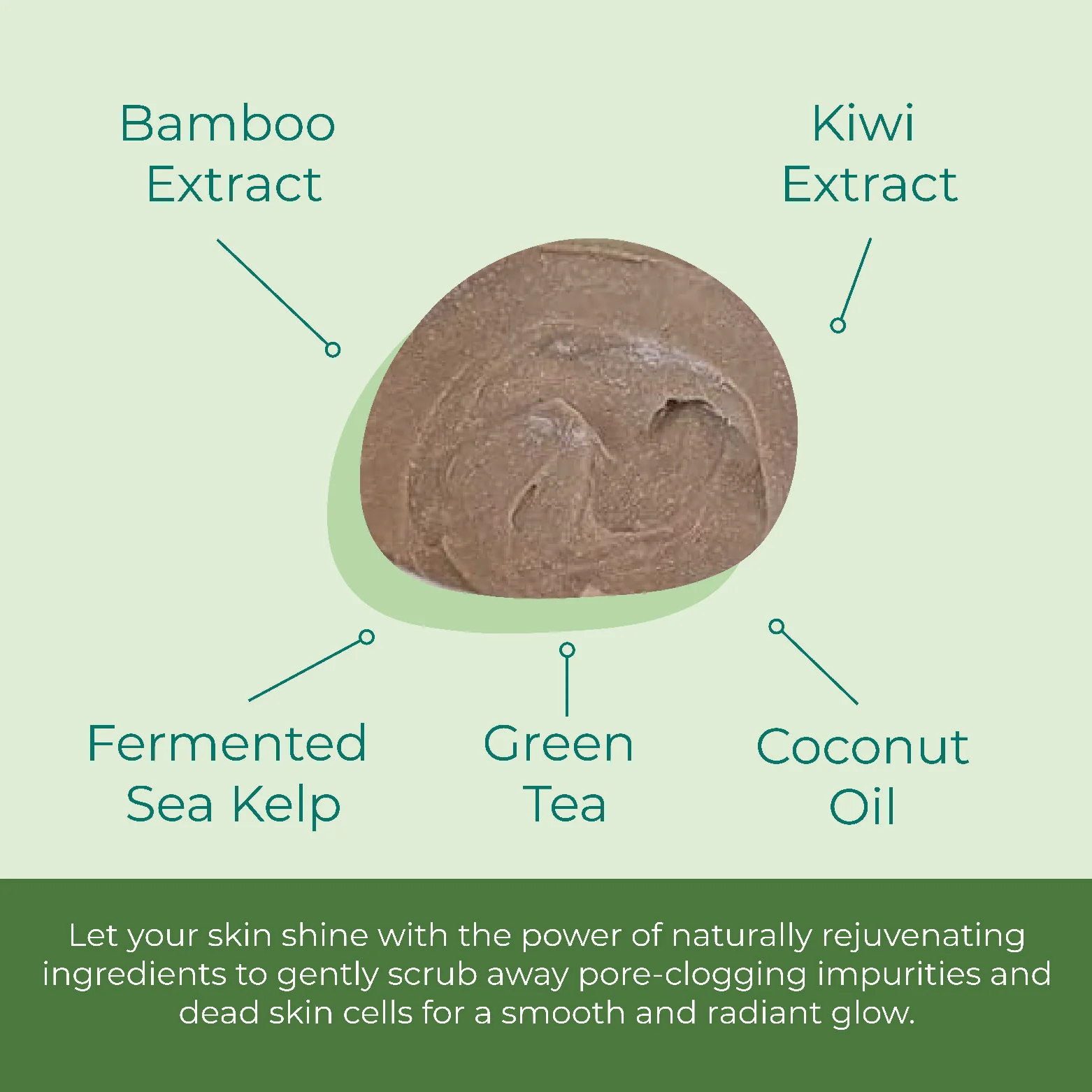 Coconut Kiwi Exfoliating Scrub - Image 3