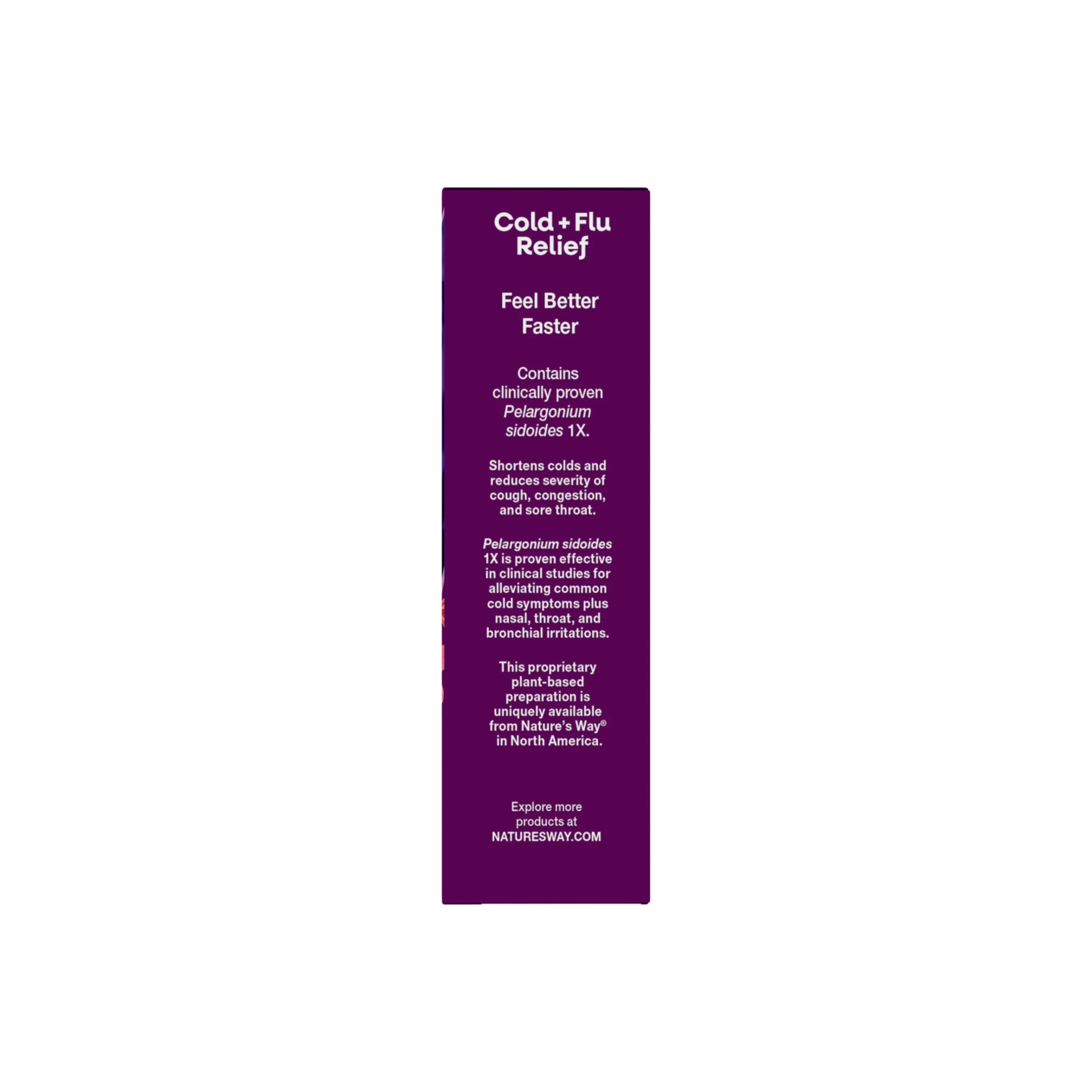 Cold+Flu Relief Chewables - Image 5