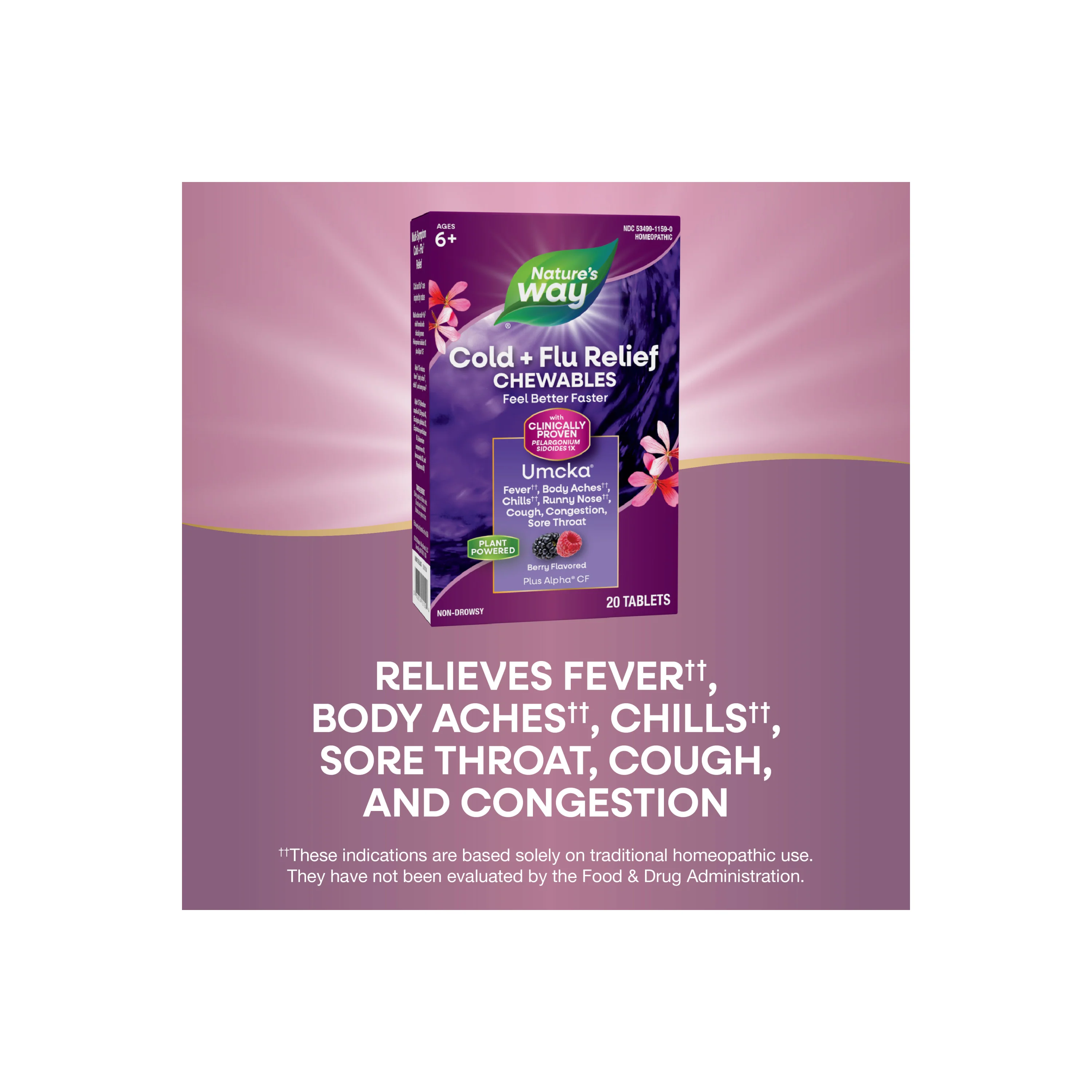Cold+Flu Relief Chewables - Image 7