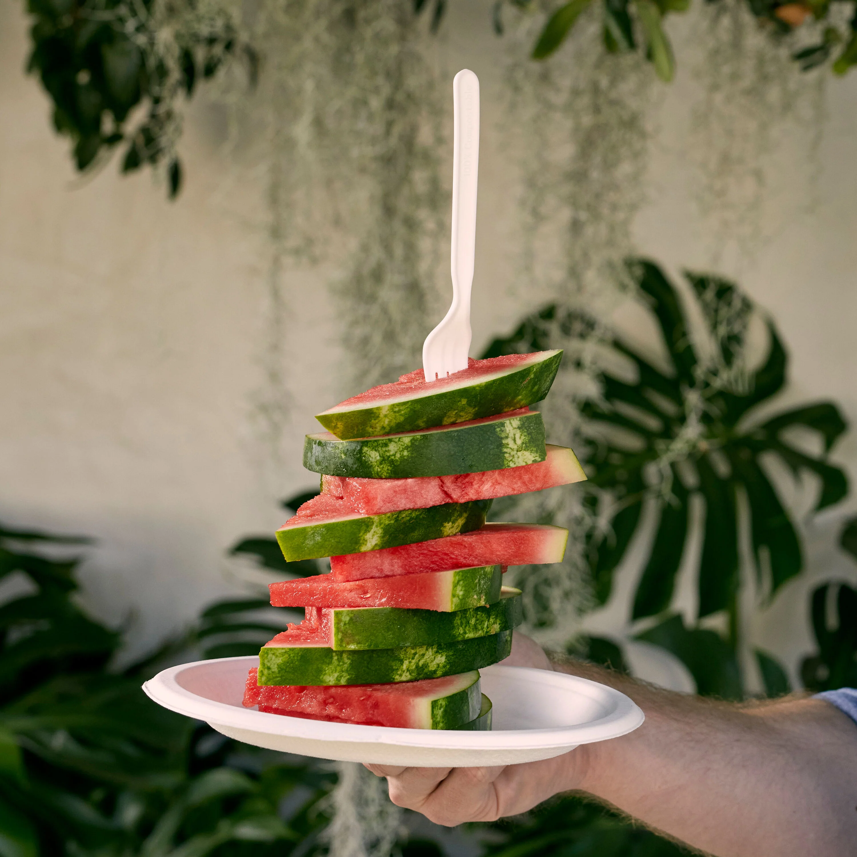Compostable Forks - Image 3