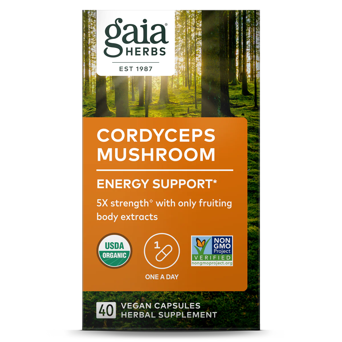 Cordyceps Mushroom - For Energy Support - Image 4