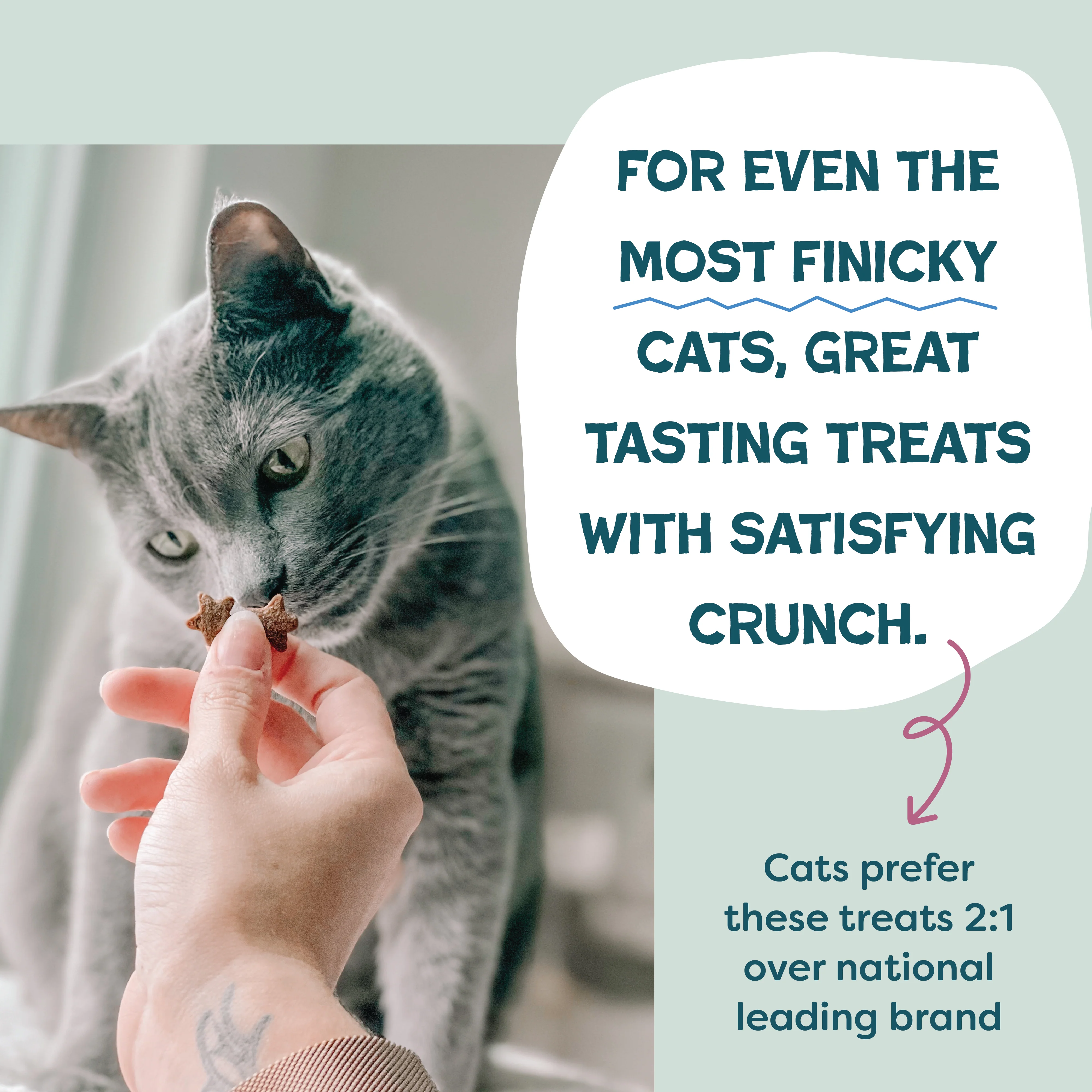 Cran You Say Chicken Cat Treats - Image 5