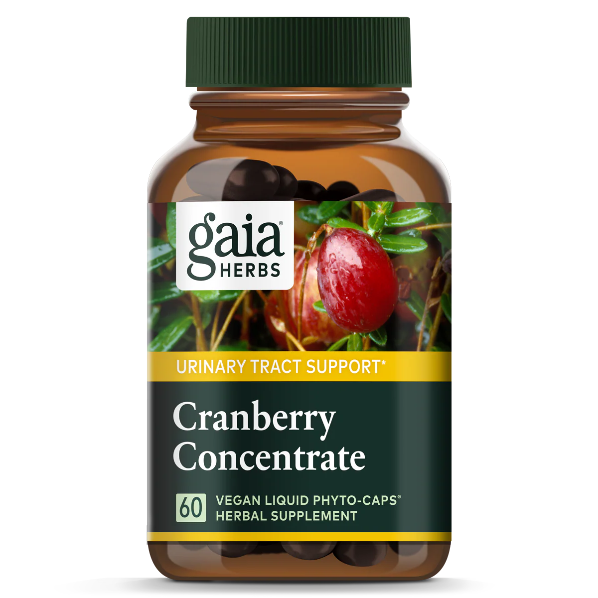 Cranberry Concentrate - Image 3
