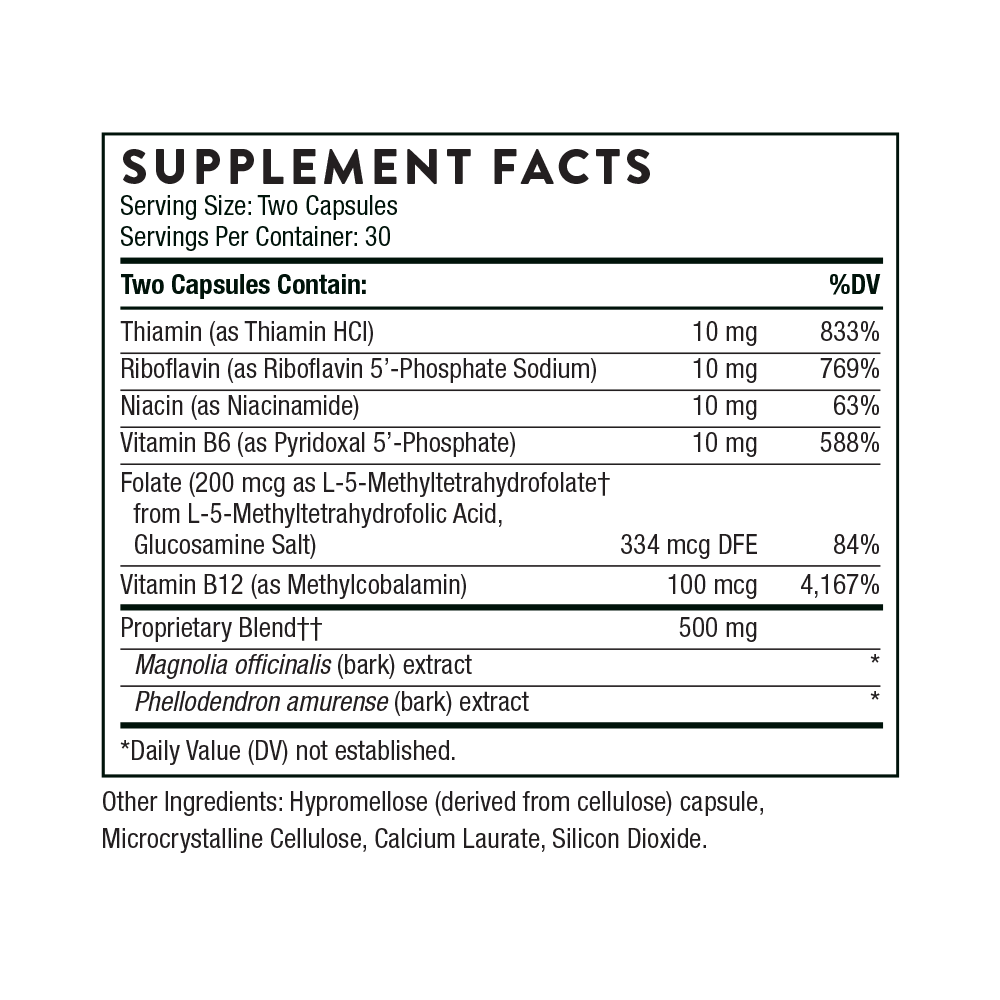 Craving and Stress Support - Image 5