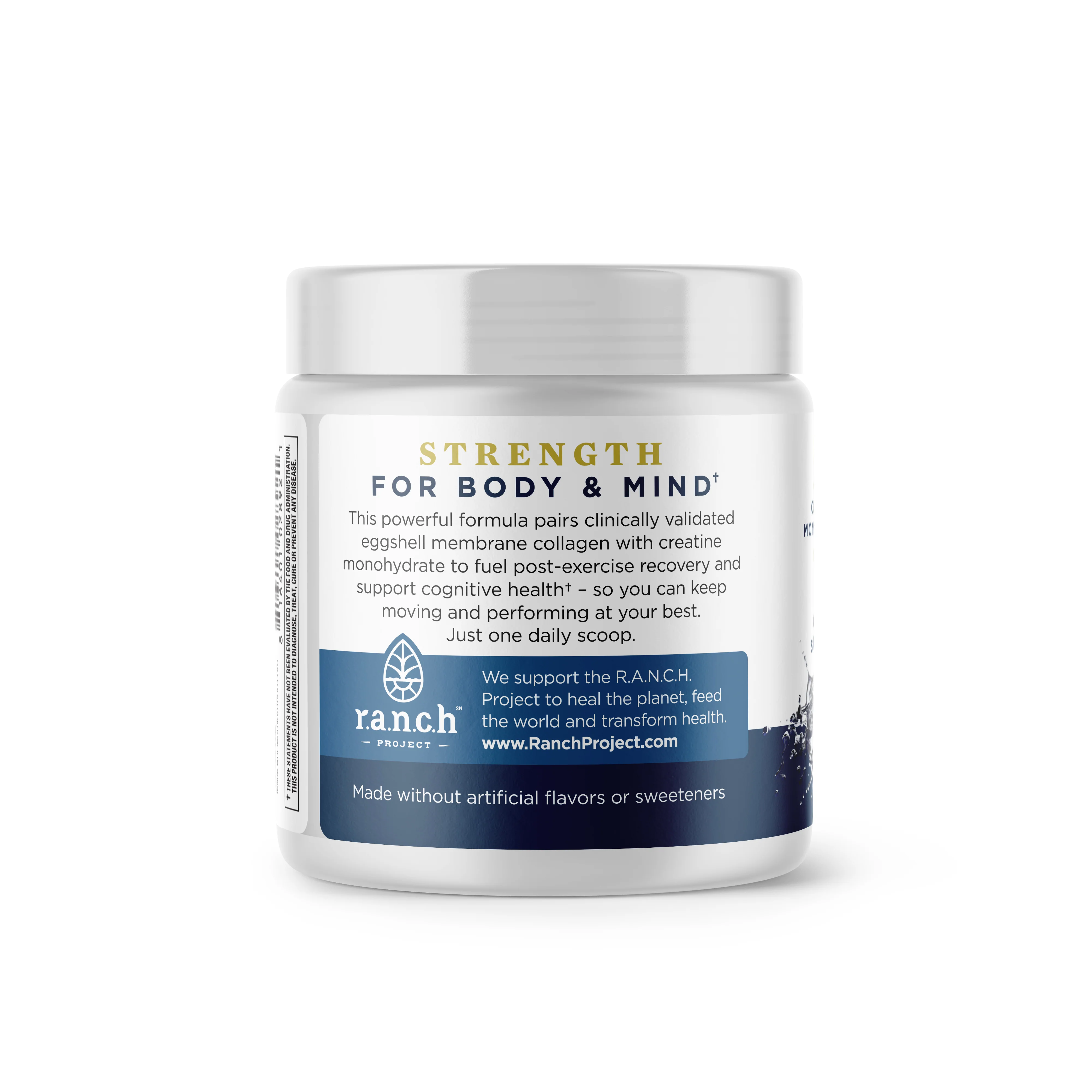 Creatine + Collagen Powder - Image 4