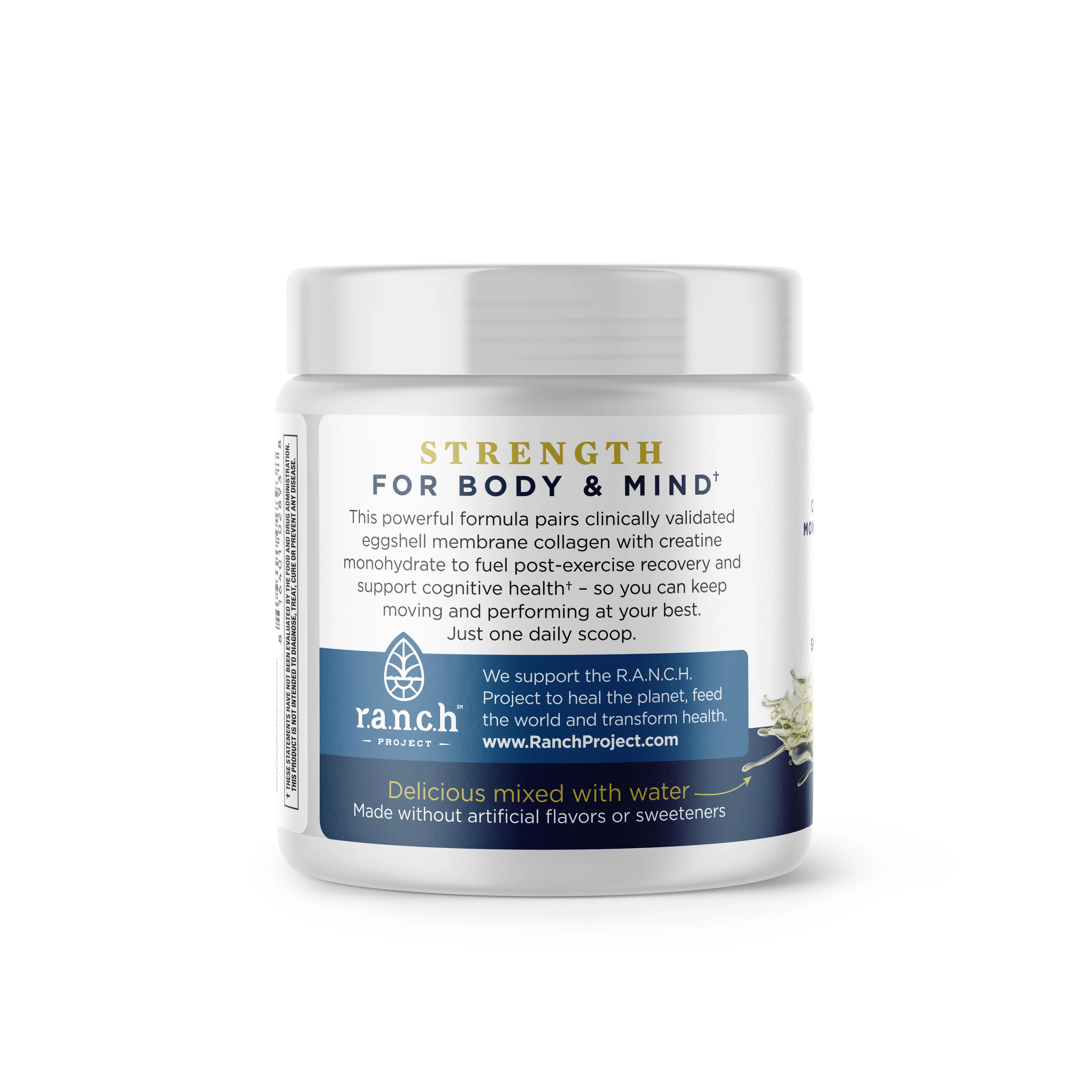 Creatine + Collagen + Electrolytes Powder - Image 8