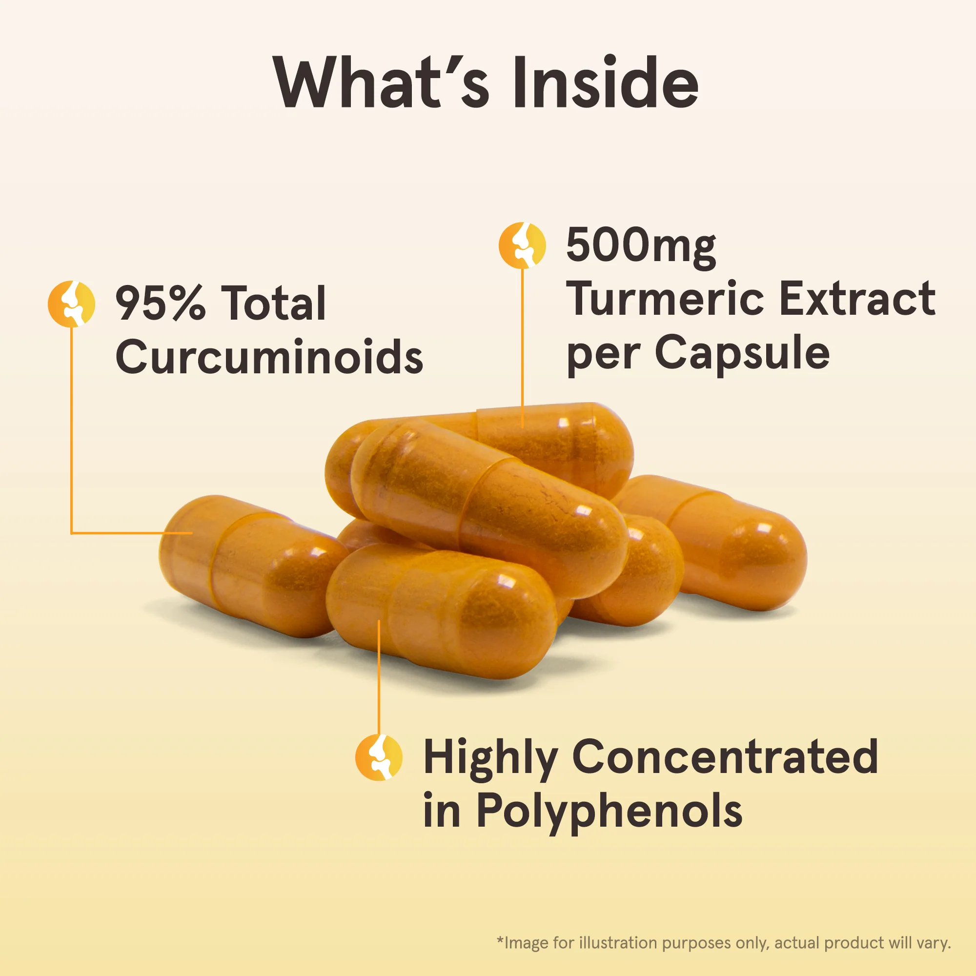Curcumin 95 - Image 5