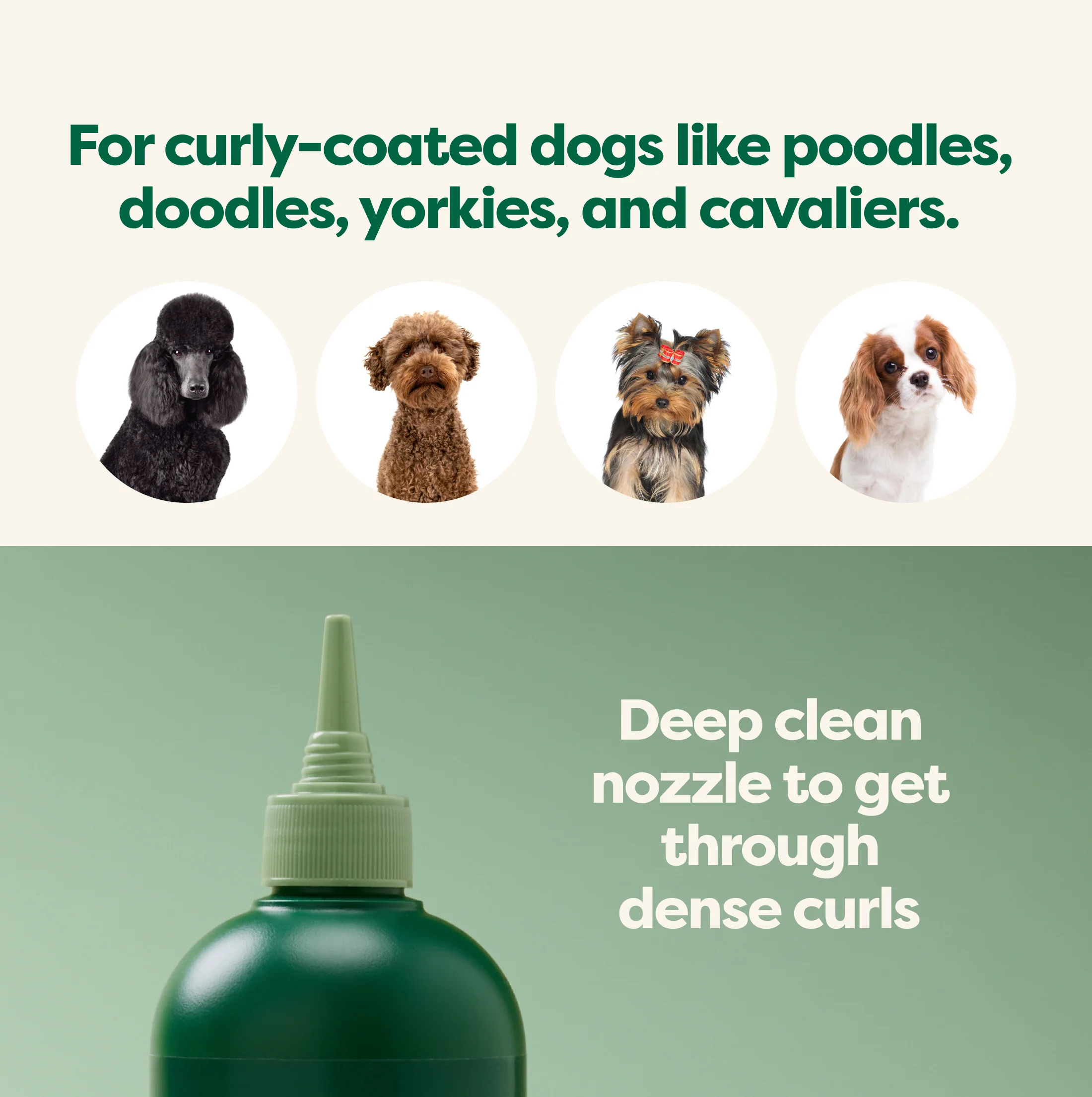 3-in-1 Curly Coat Dog Shampoo - Image 11