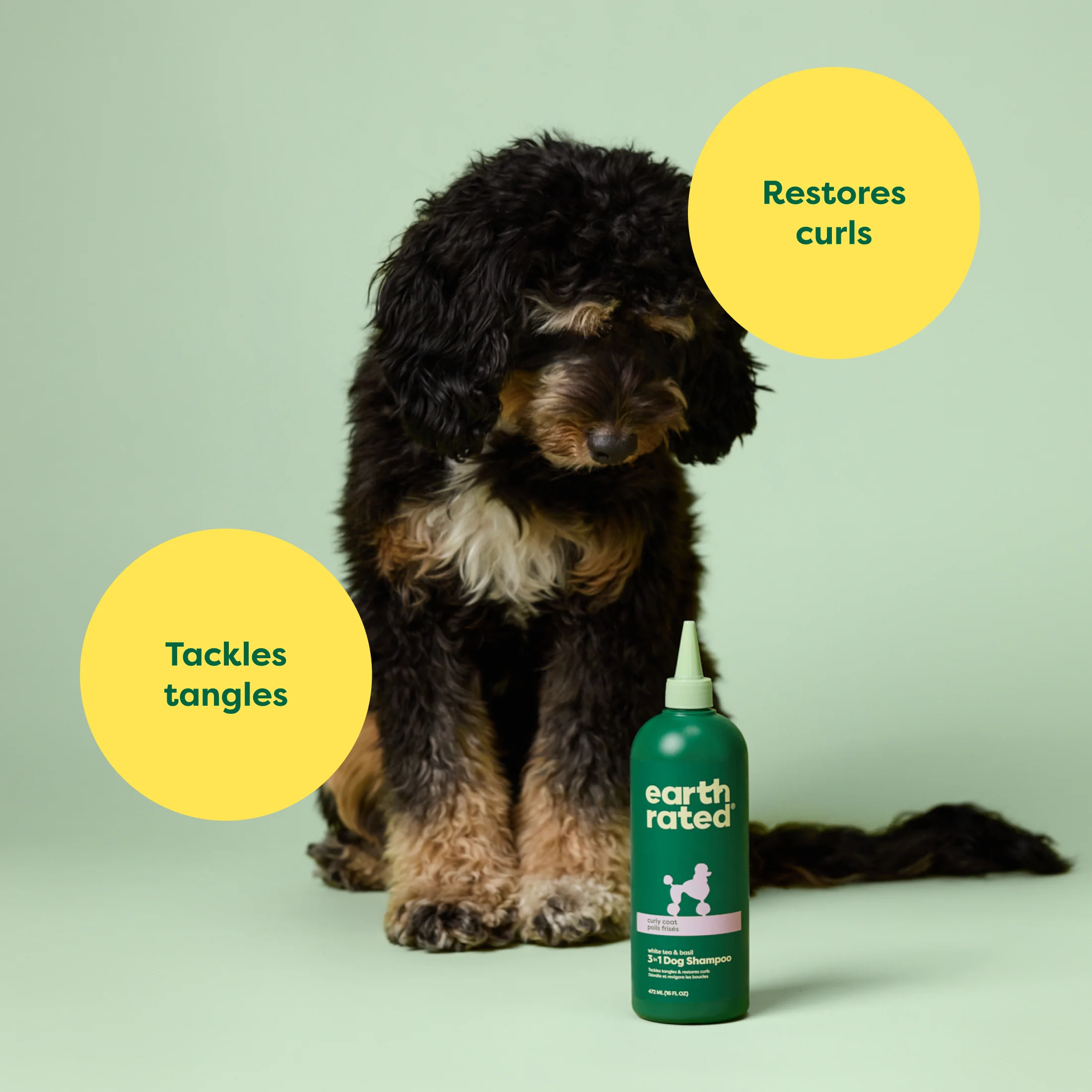 3-in-1 Curly Coat Dog Shampoo - Image 3