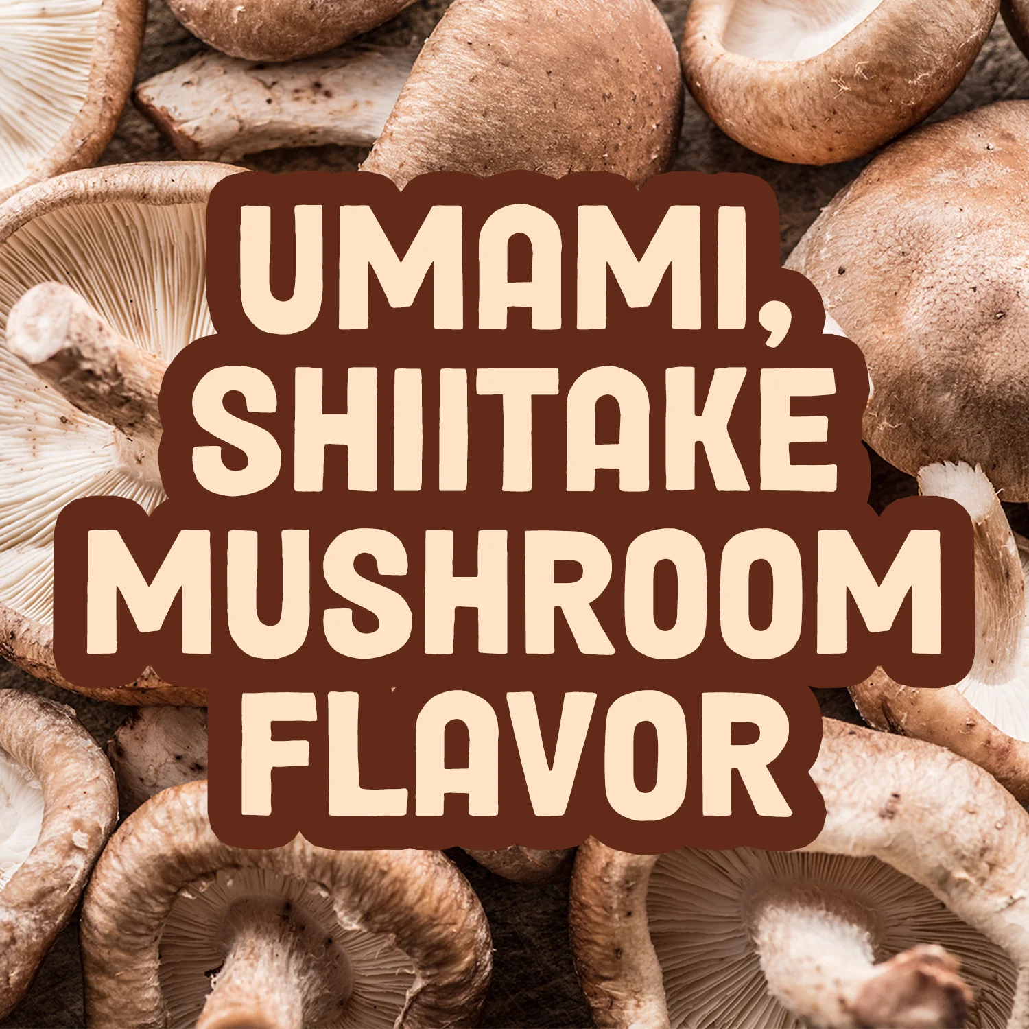 Curry Mushroom Jerky - Image 10