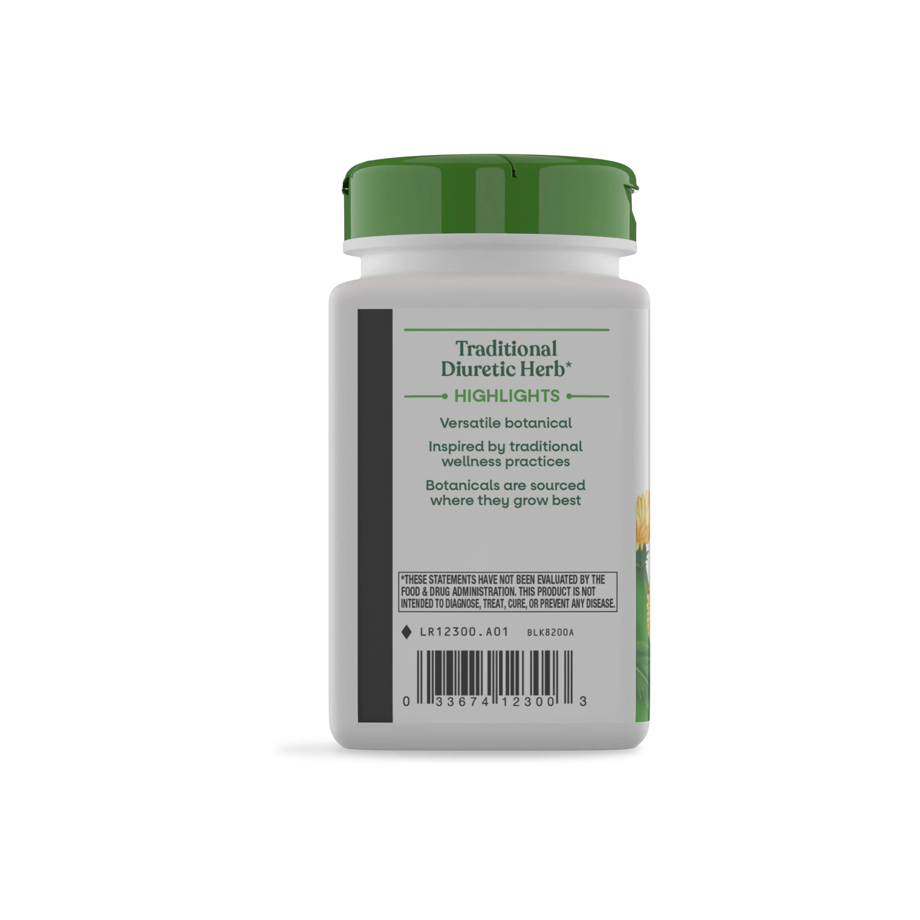 Dandelion Root - Image 5