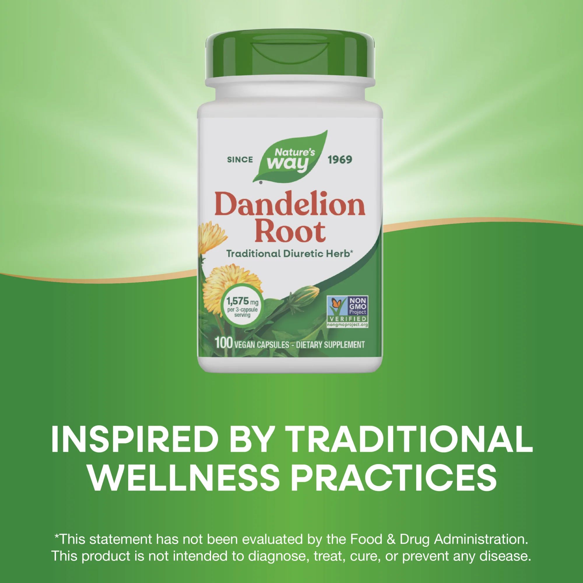Dandelion Root - Image 9