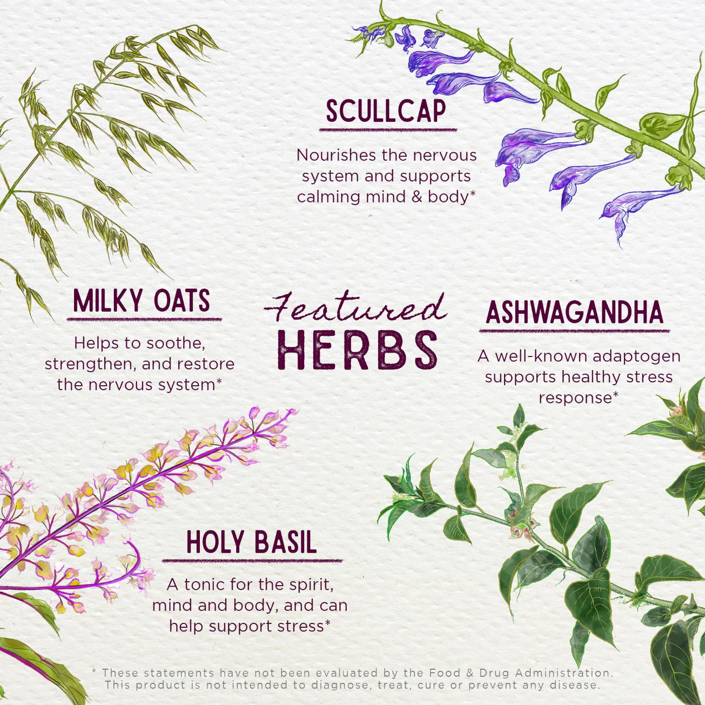 Deep Stress - Herbal Supplement - Image 4