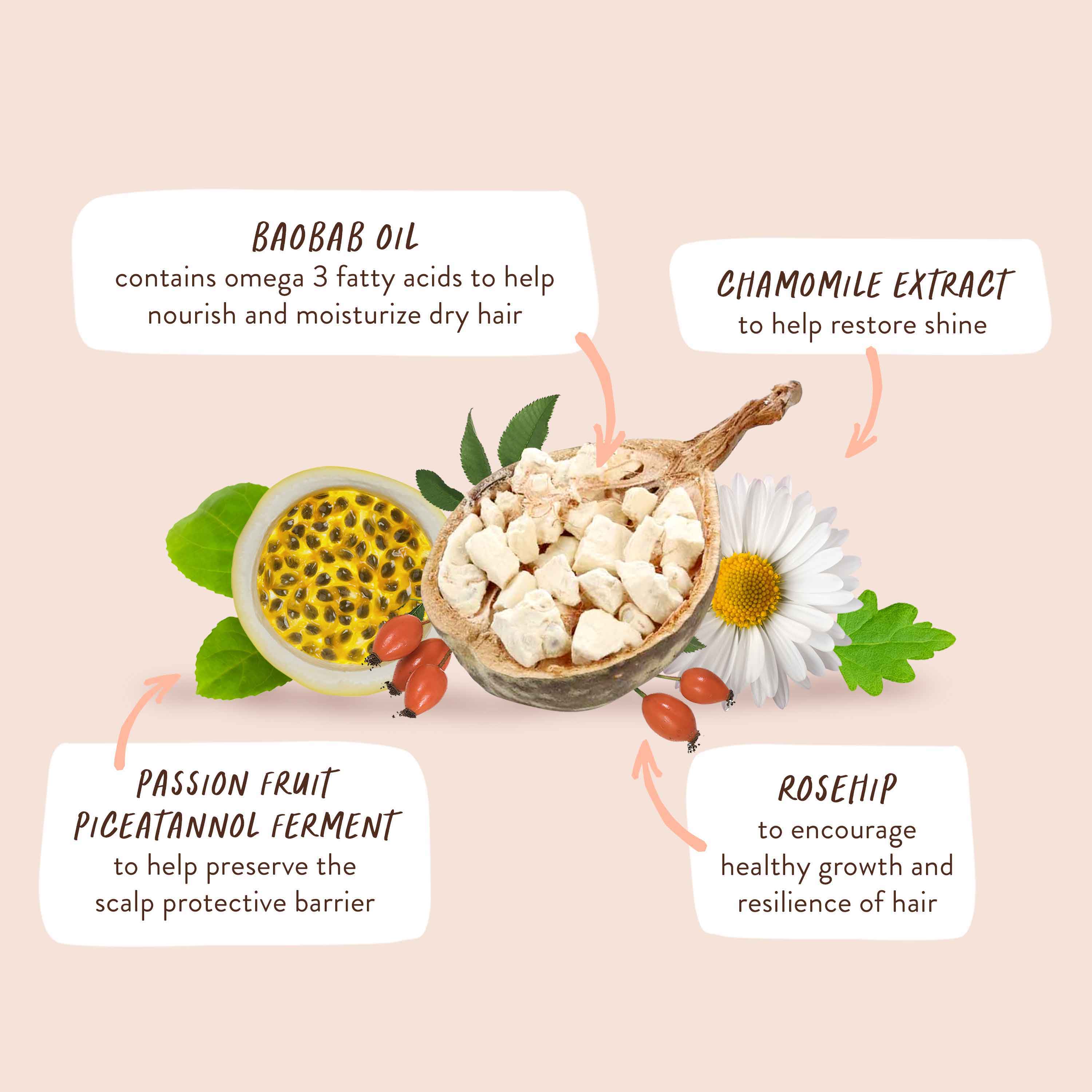 Defining Baobab & Rosehip Shampoo - Image 11