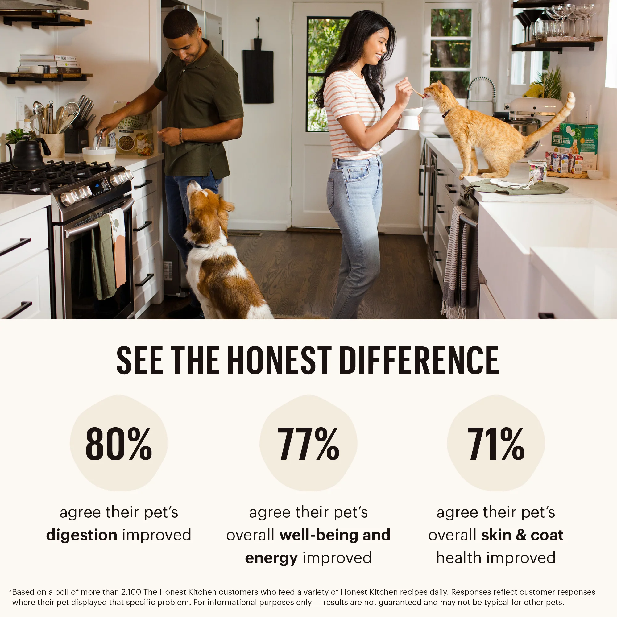 Wholemade™ Whole Grain Beef & Oat Dog Food - Image 7