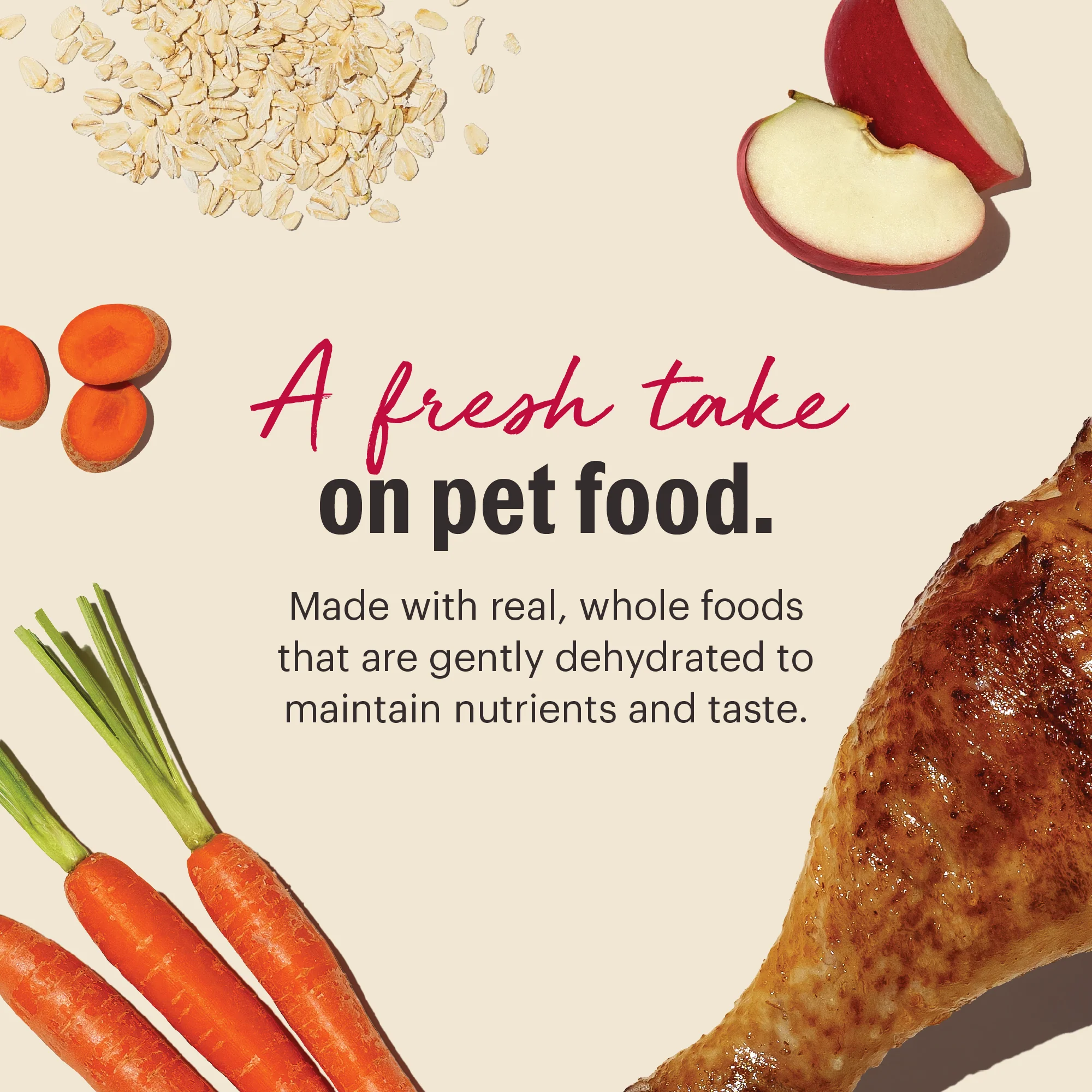 Wholemade™ Whole Grain Turkey Dog Food - Image 6