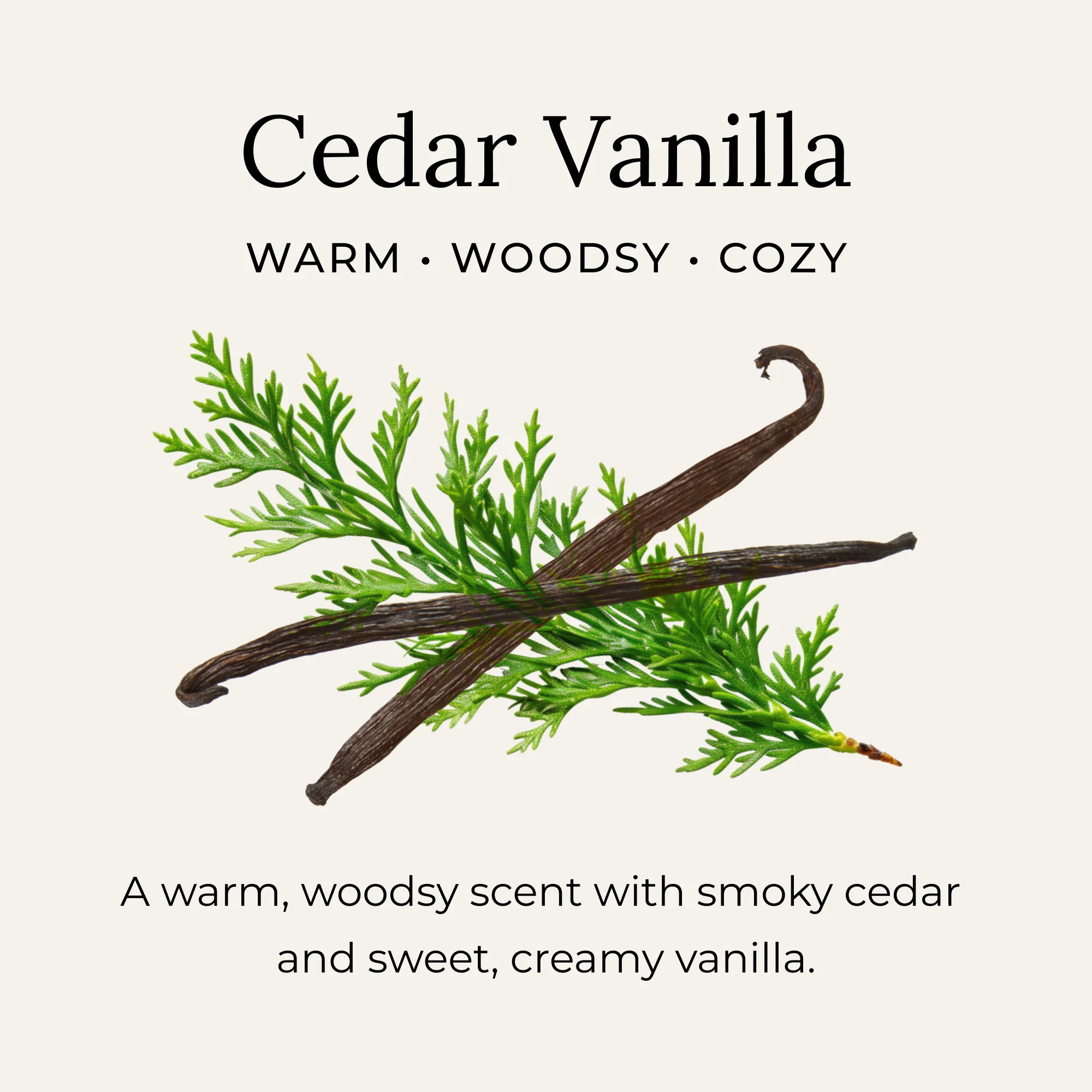 Deodorant Creams - Image 22
