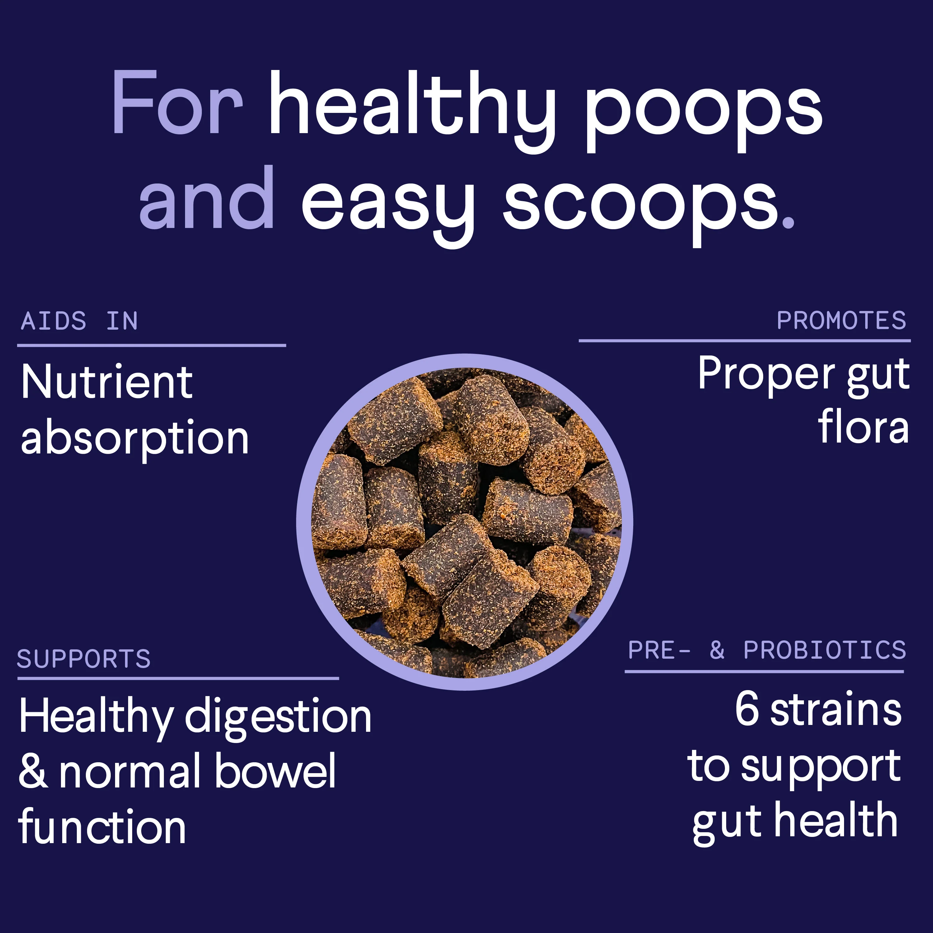 Digestive Probiotics Supplement For Dogs - Image 4