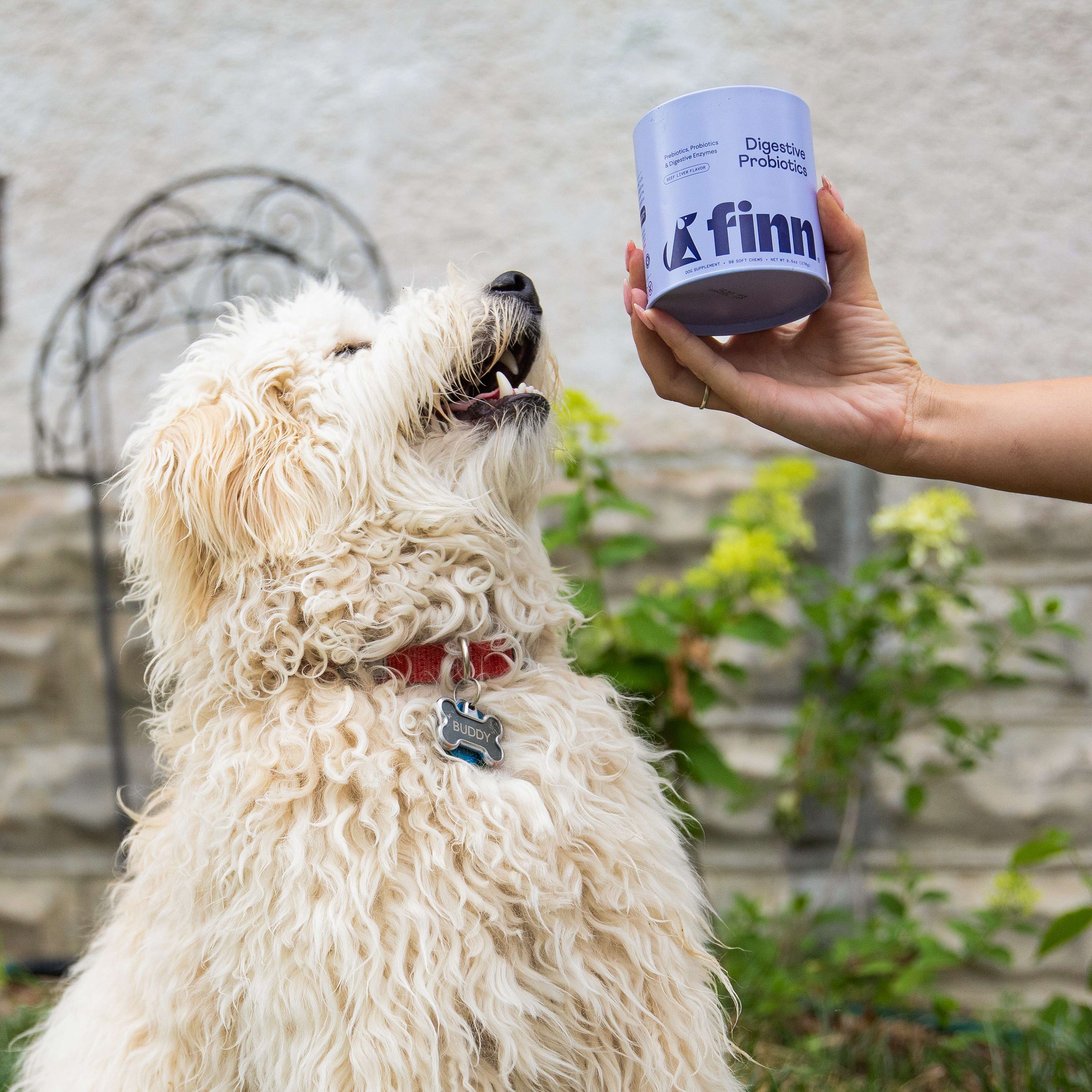 Digestive Probiotics Supplement For Dogs - Image 6