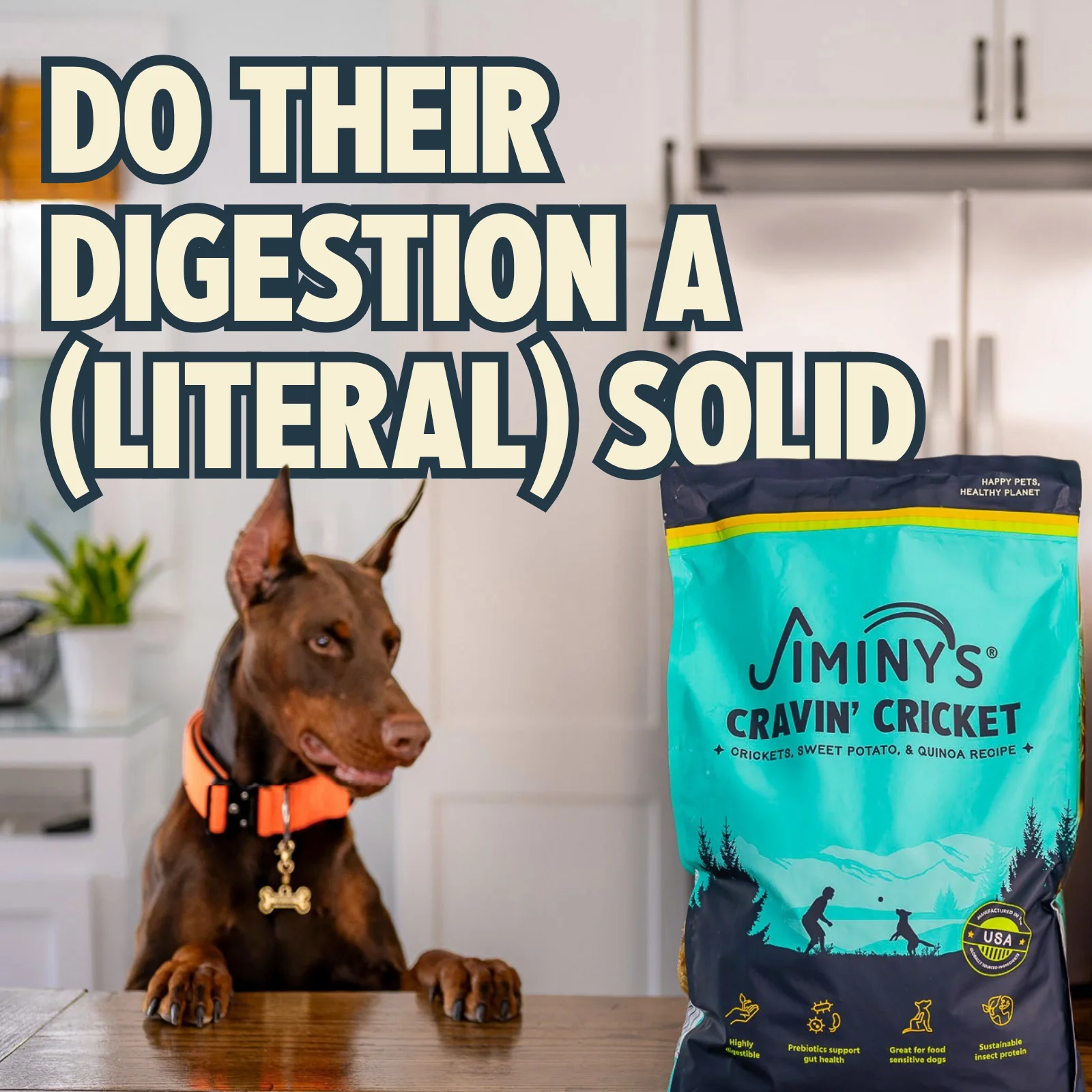 Jiminy's Cravin' Cricket Dry Dog Food, Sensitive Stomach, Improved Gut Health - Image 4