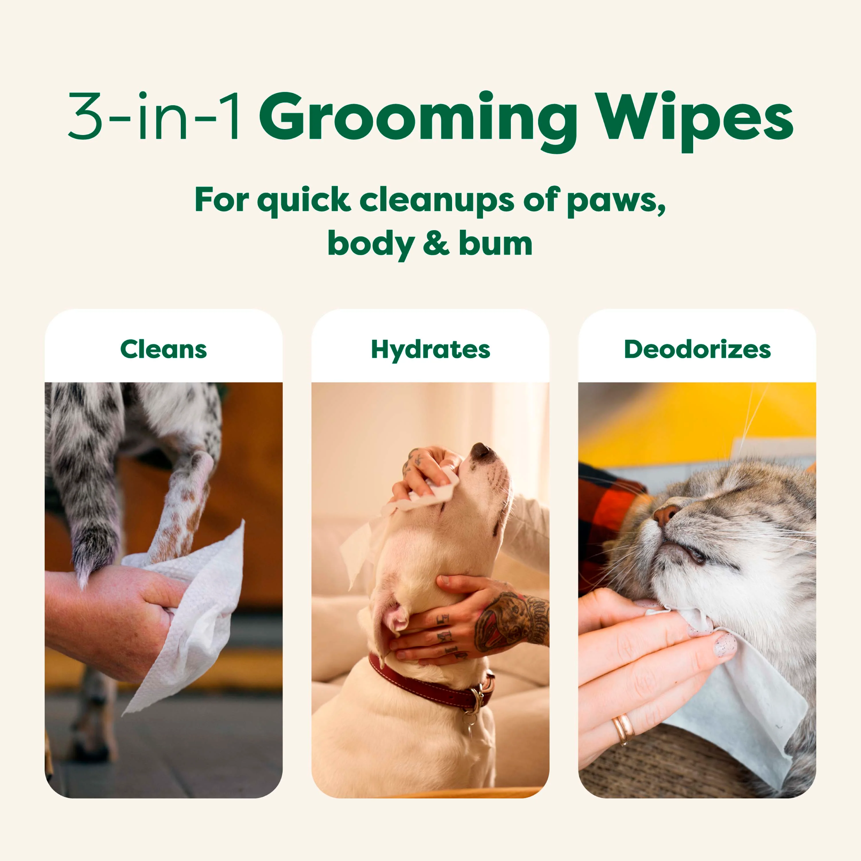 Dog Grooming Wipes – Extra Thick, White Tea Basil Scented - Image 3