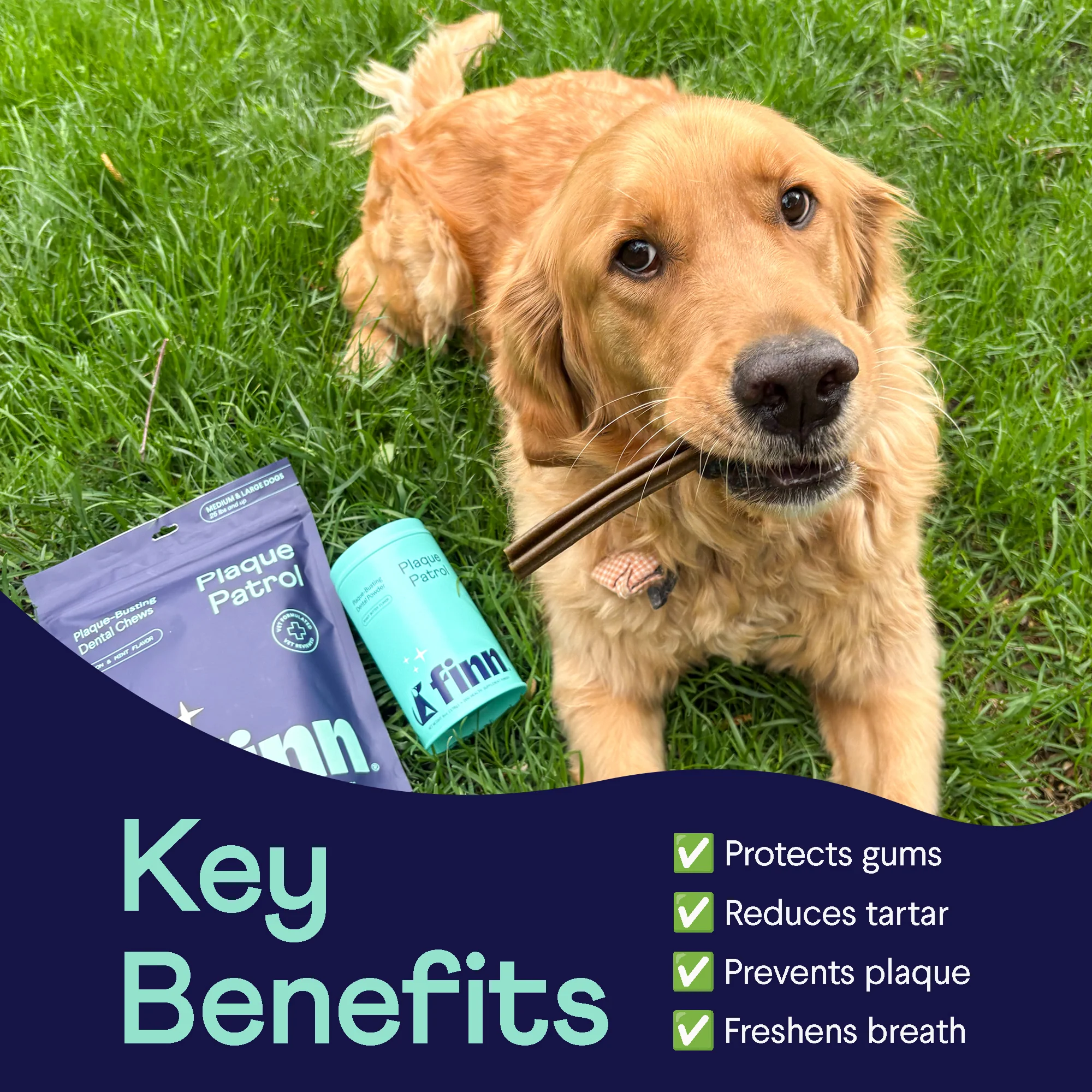 Dog Plaque Patrol Dental Powder - Image 4