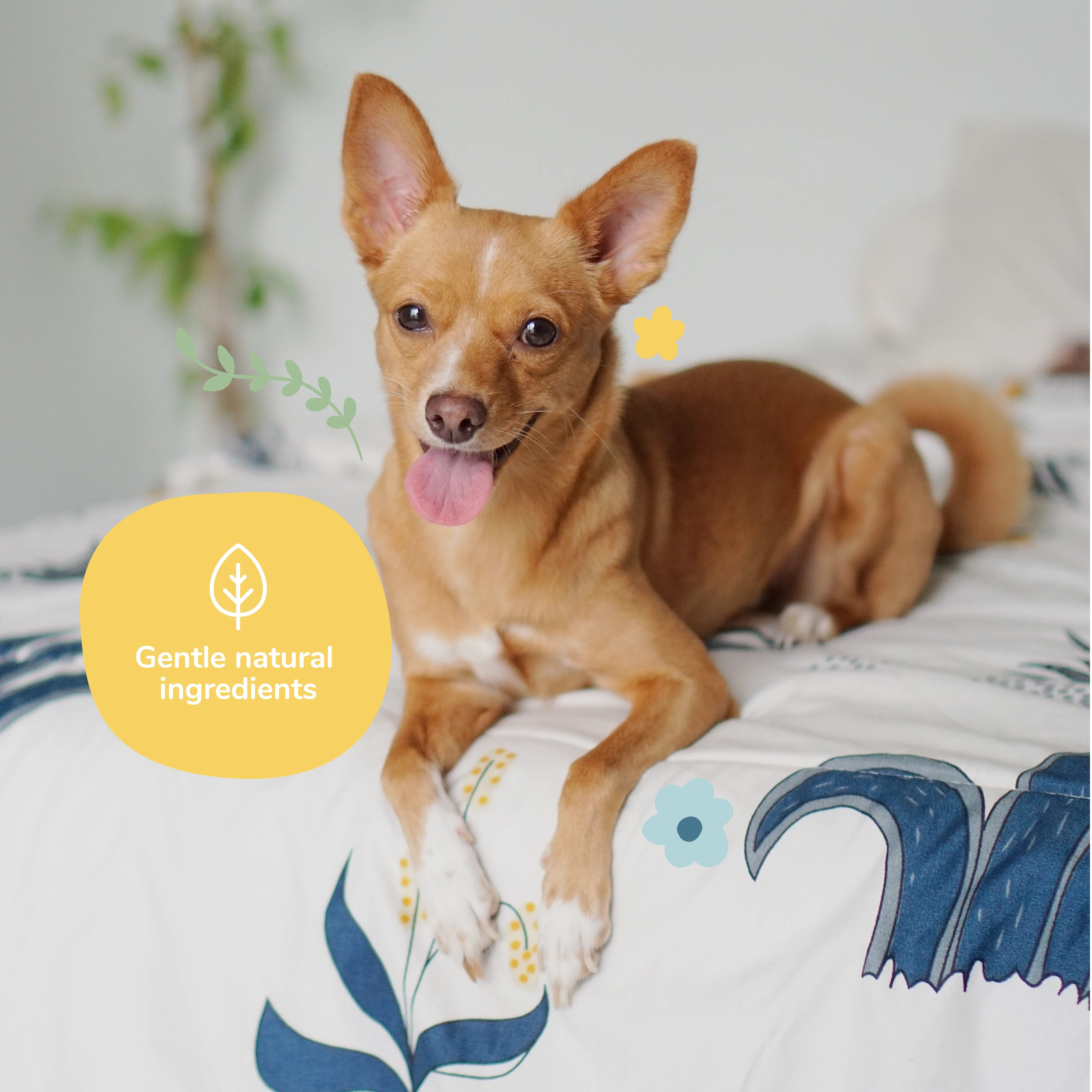 Dog Smell Coat Spray - Image 6