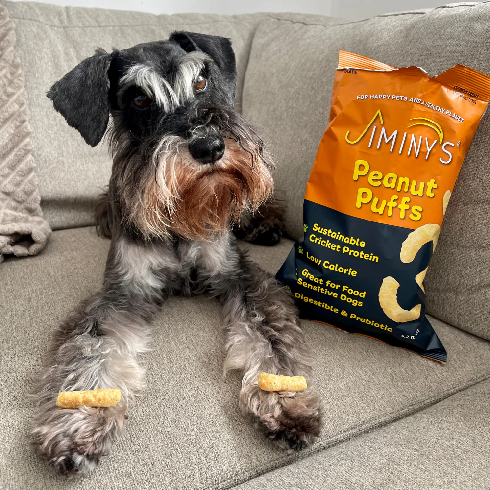 Dog Treats - Image 7