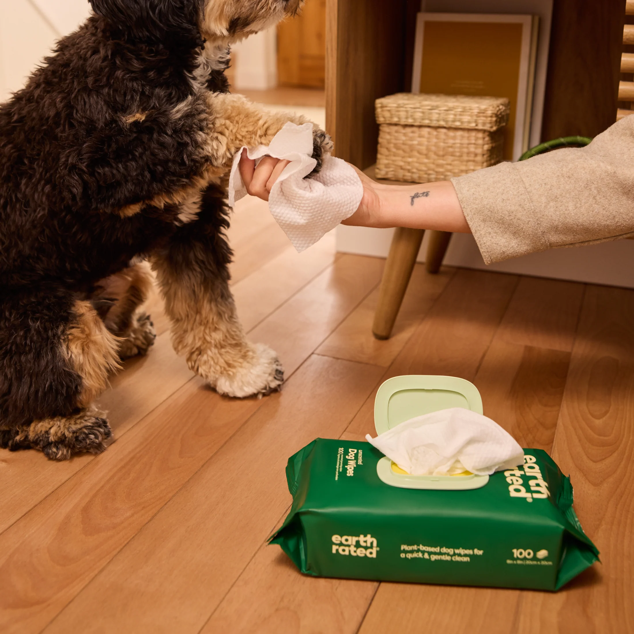 Dog Grooming Wipes – Extra Thick, Fragrance Free - Image 7