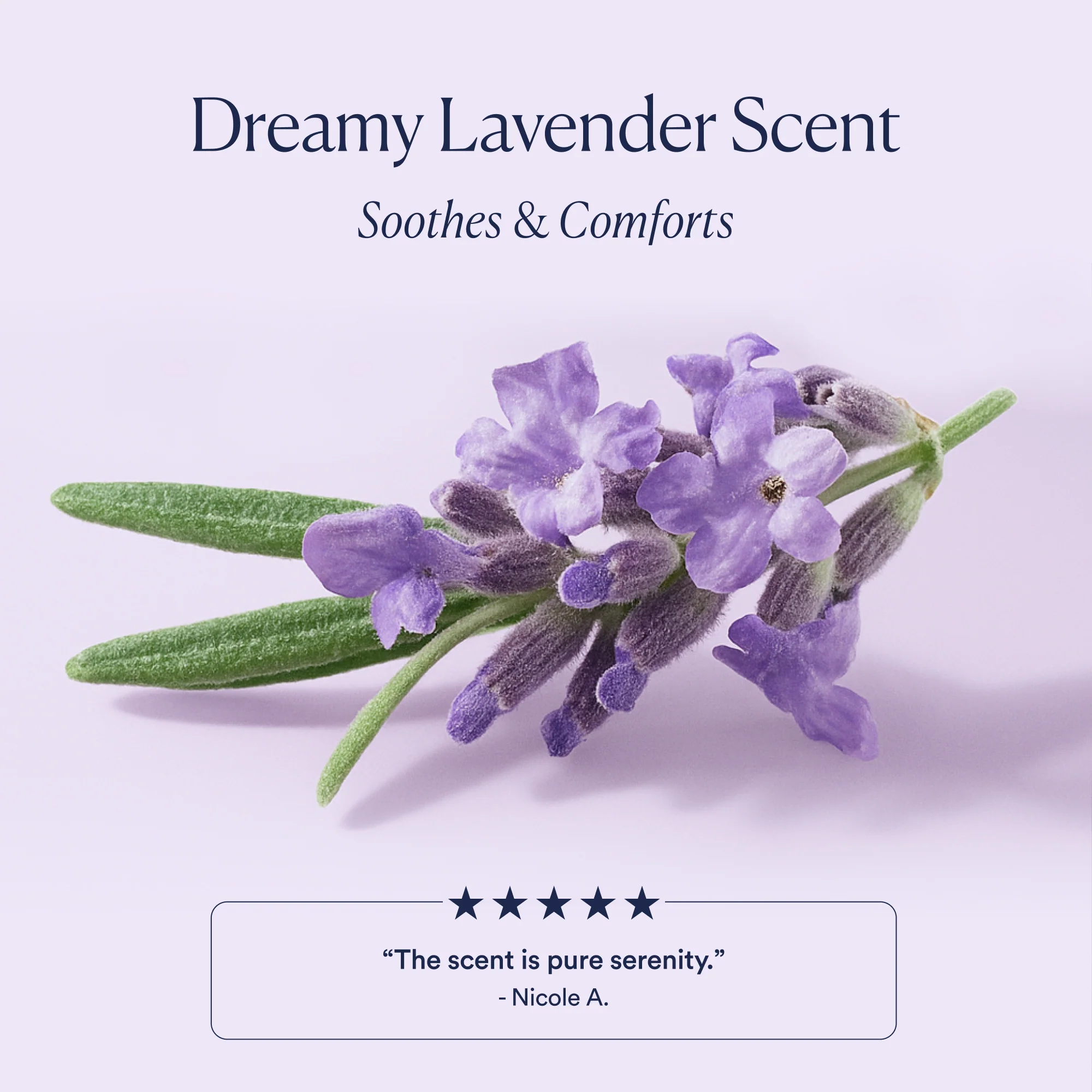 Dream Night Serum - Image 7