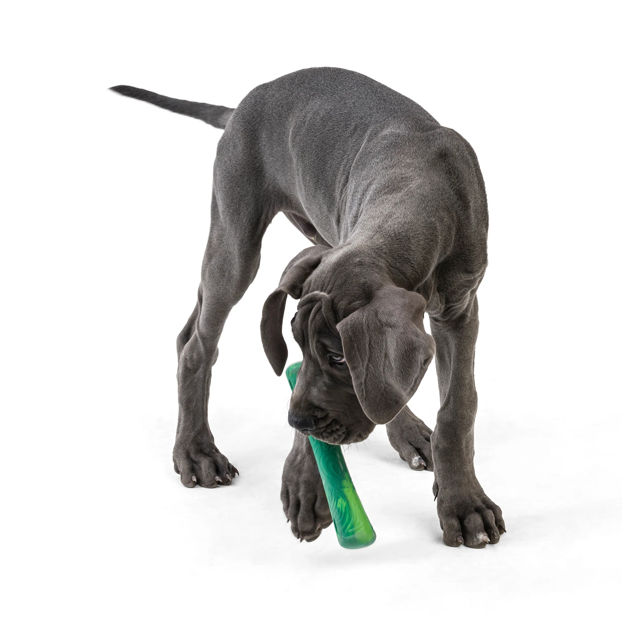 Fetch and Chew Drifty™ Dog Toy made from Ocean-Bound Recycled Plastic - Small - Image 5