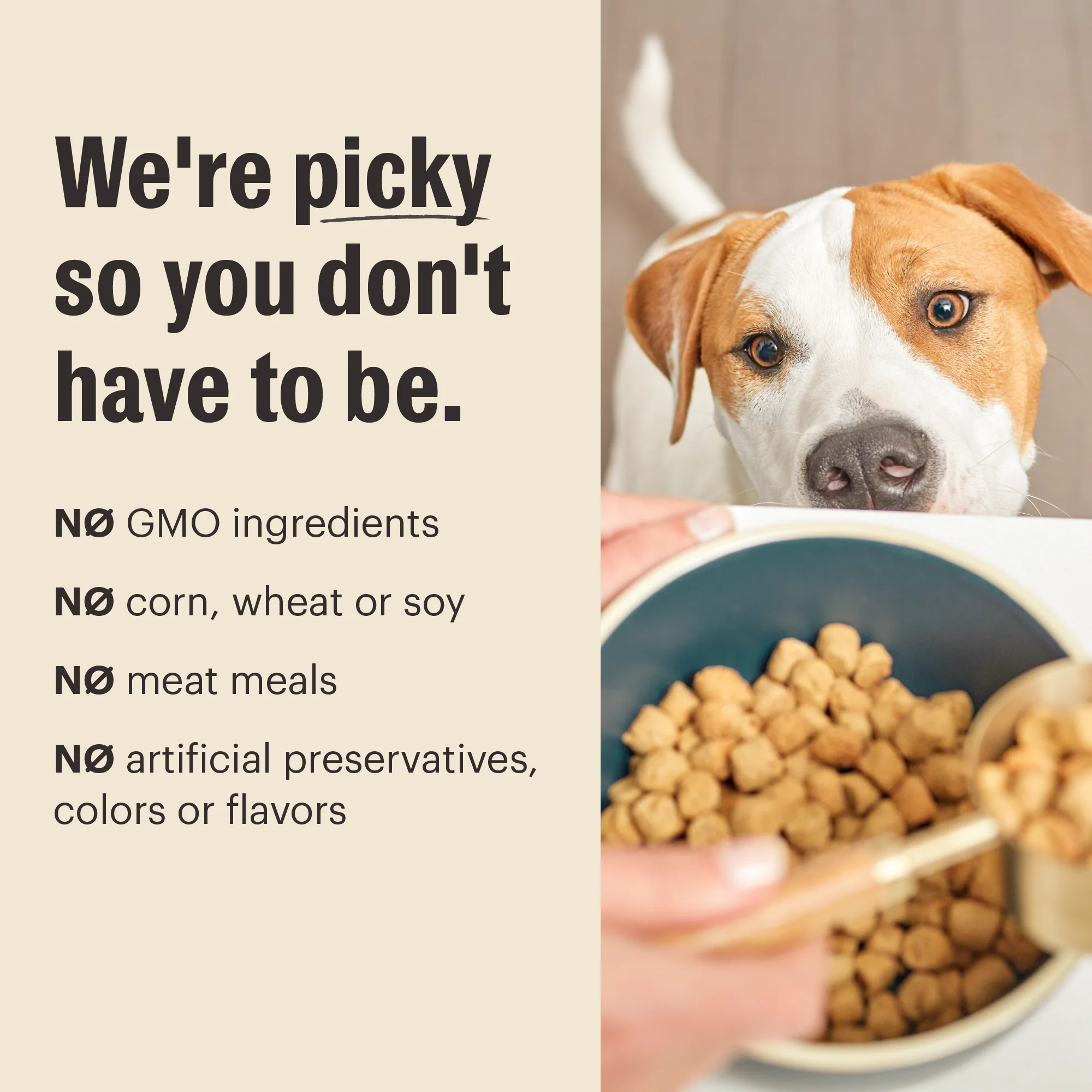 Dry Dog Food, Grain Free Beef Whole Food Clusters - Image 4