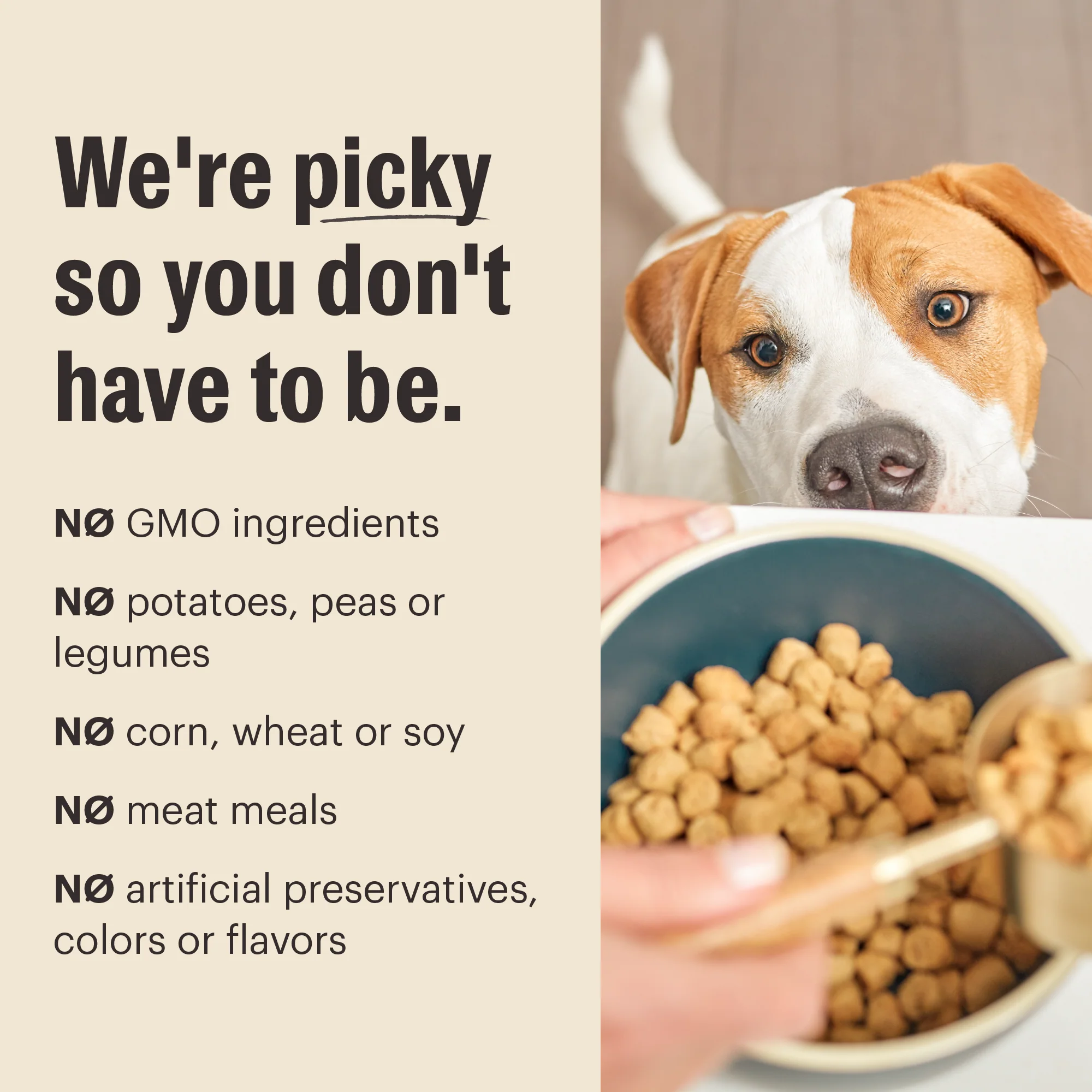 Dry Dog Food, Whole Grain Beef & Oat Whole Food Clusters - Image 5