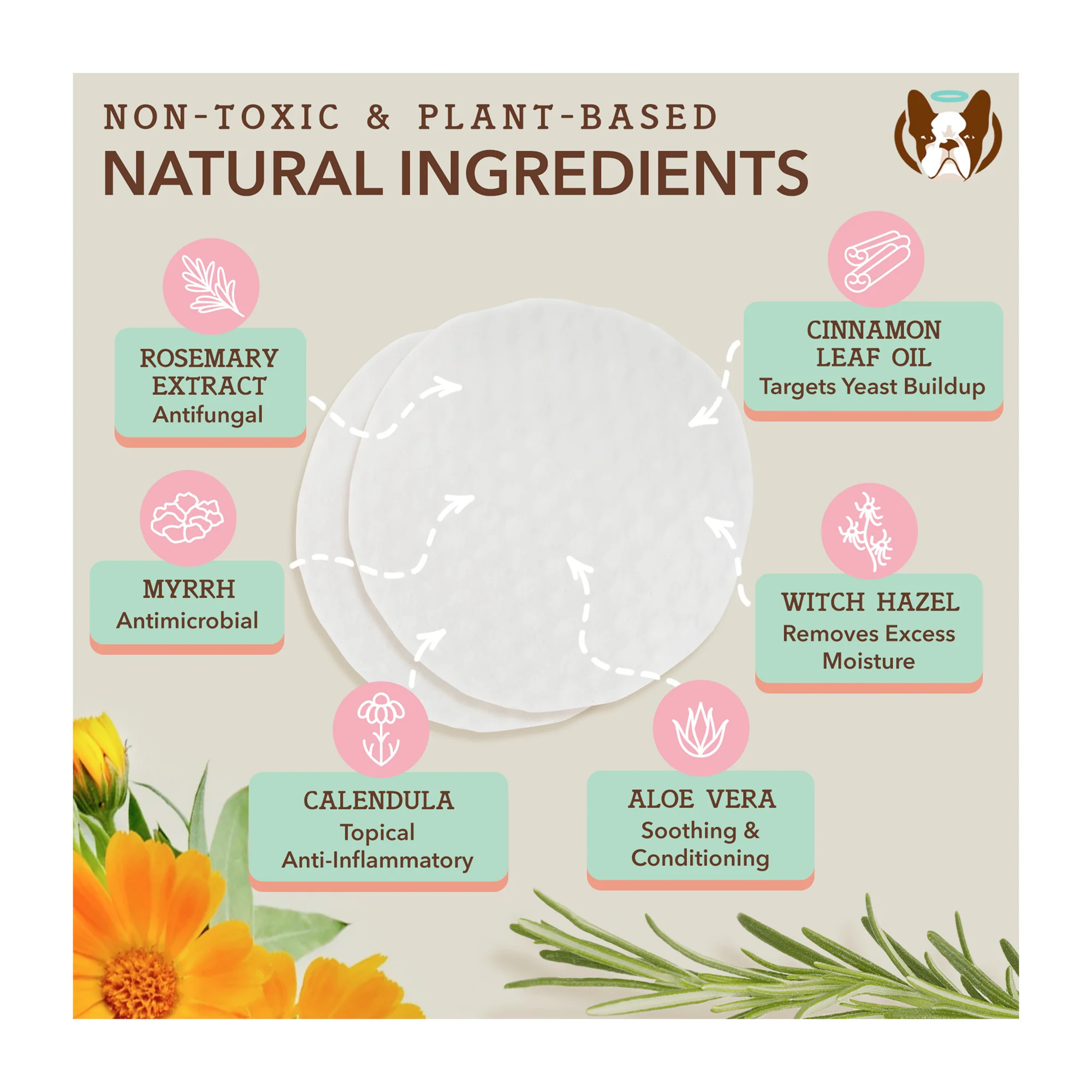 Ear Wipes - Image 6