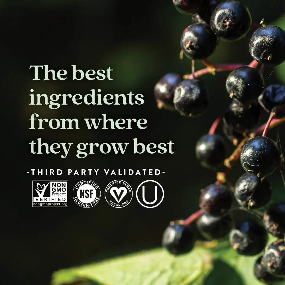 Elderberry Force™, for Immune Support - Image 4