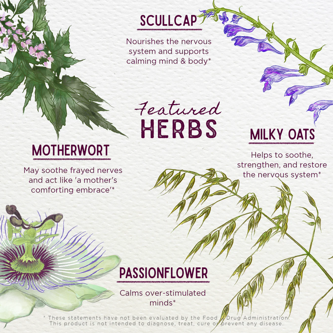 Emotional Ally - Herbal Supplement - Image 4