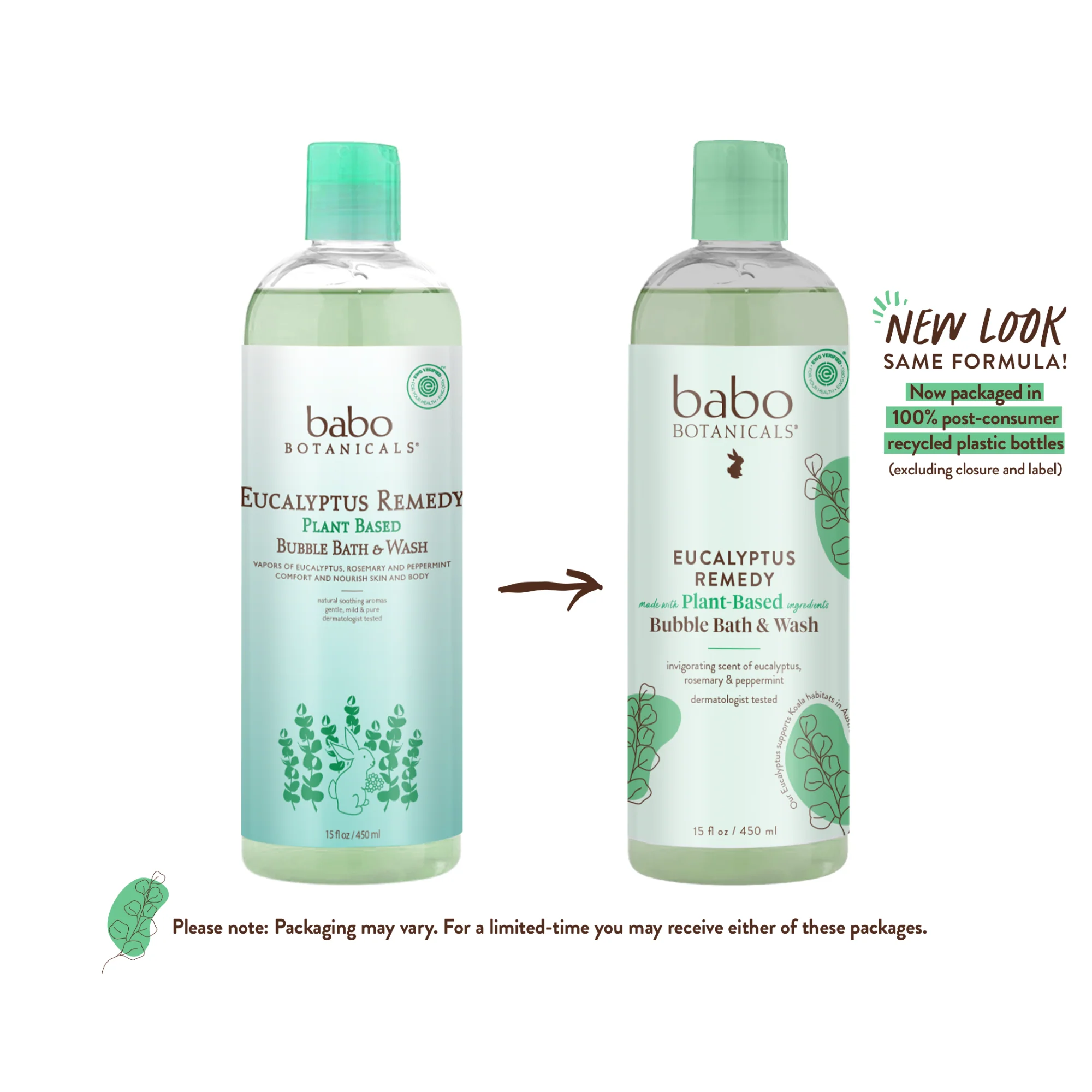 Eucalyptus Body Wash & Bubble Bath - Image 3