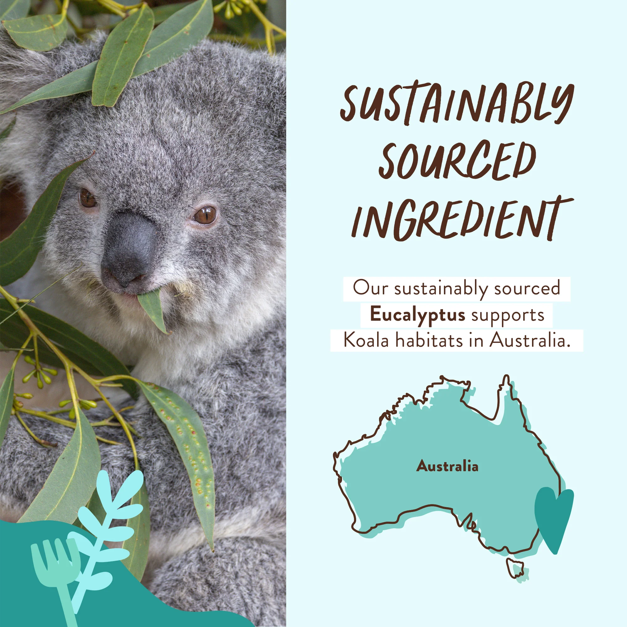 Eucalyptus Body Wash & Bubble Bath - Image 4
