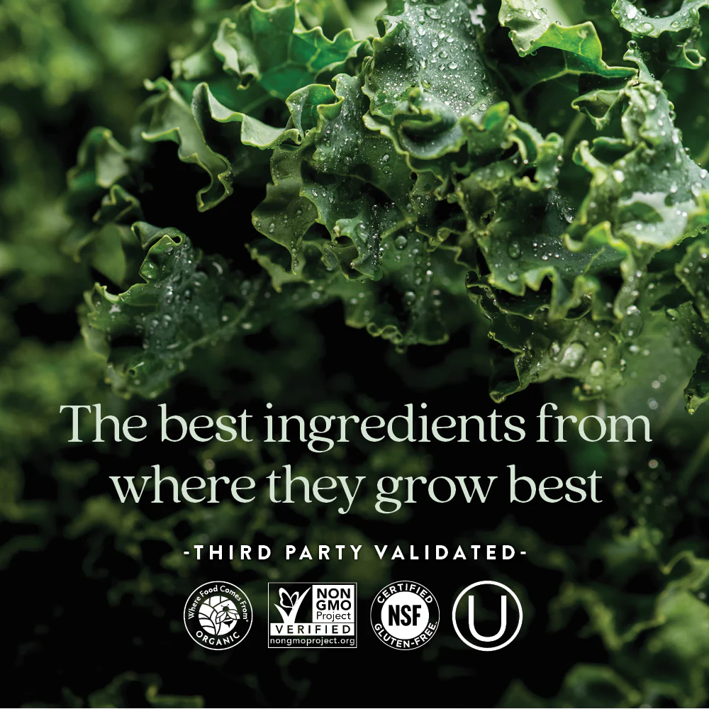 Every Womanâ˘'s One Daily 40+ Multivitamin - For Immune, Energy & Healthy Aging Support - Image 17