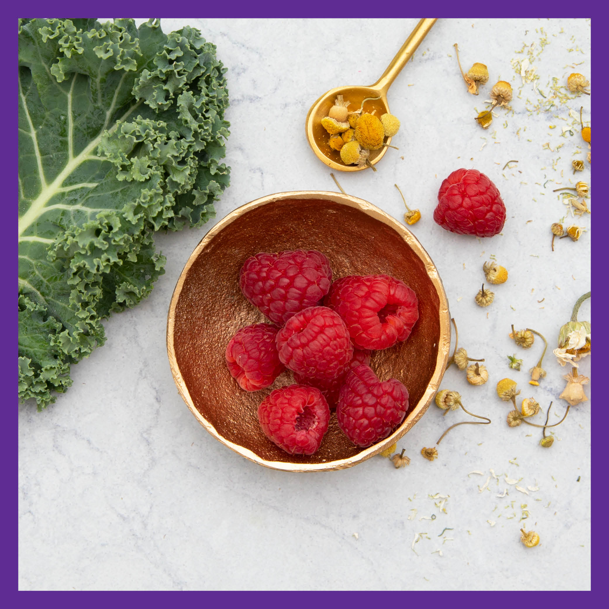 Every Womanâ˘'s One Daily 40+ Multivitamin - For Immune, Energy & Healthy Aging Support - Image 7